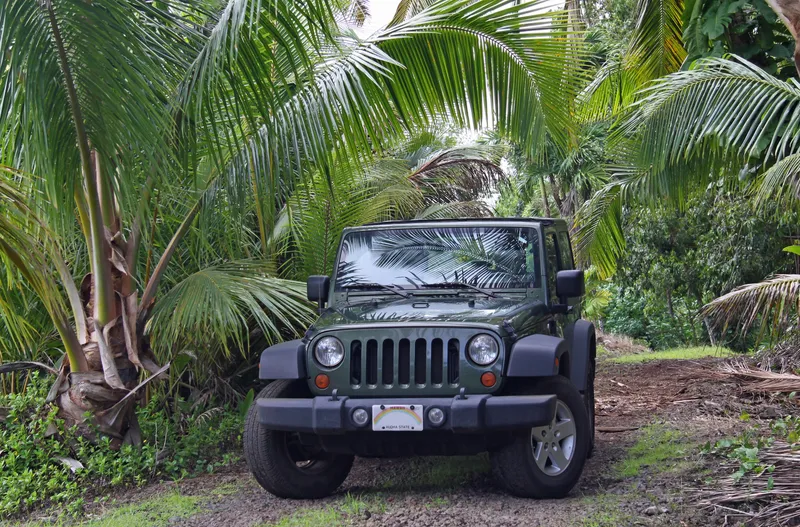 4WD vehicle loaded with tubers driving through plantation land with tropical scenery and cattle in background