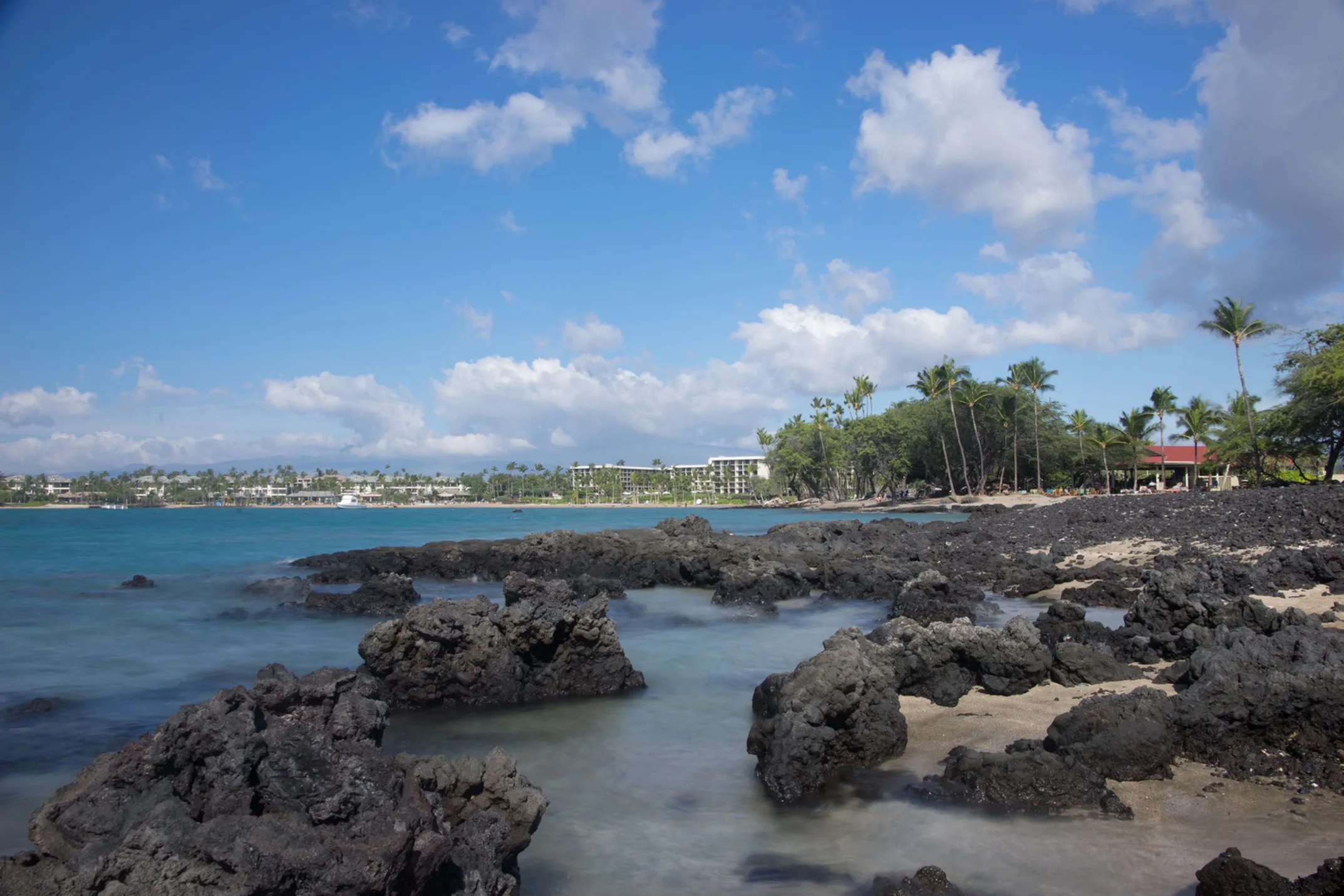Anaeho'omalu Bay panoramic view with palm trees and fishponds
