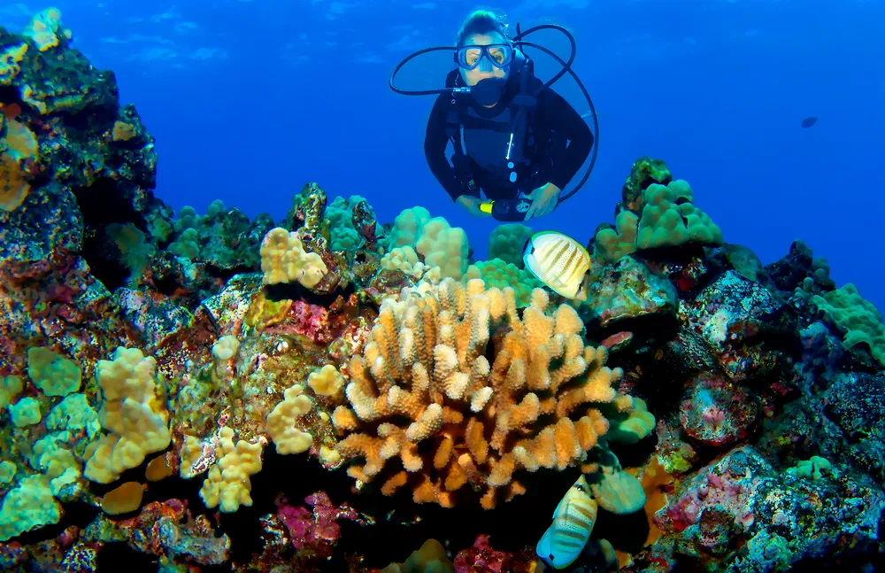 Scenic Maui bay with sailboat in turquoise water