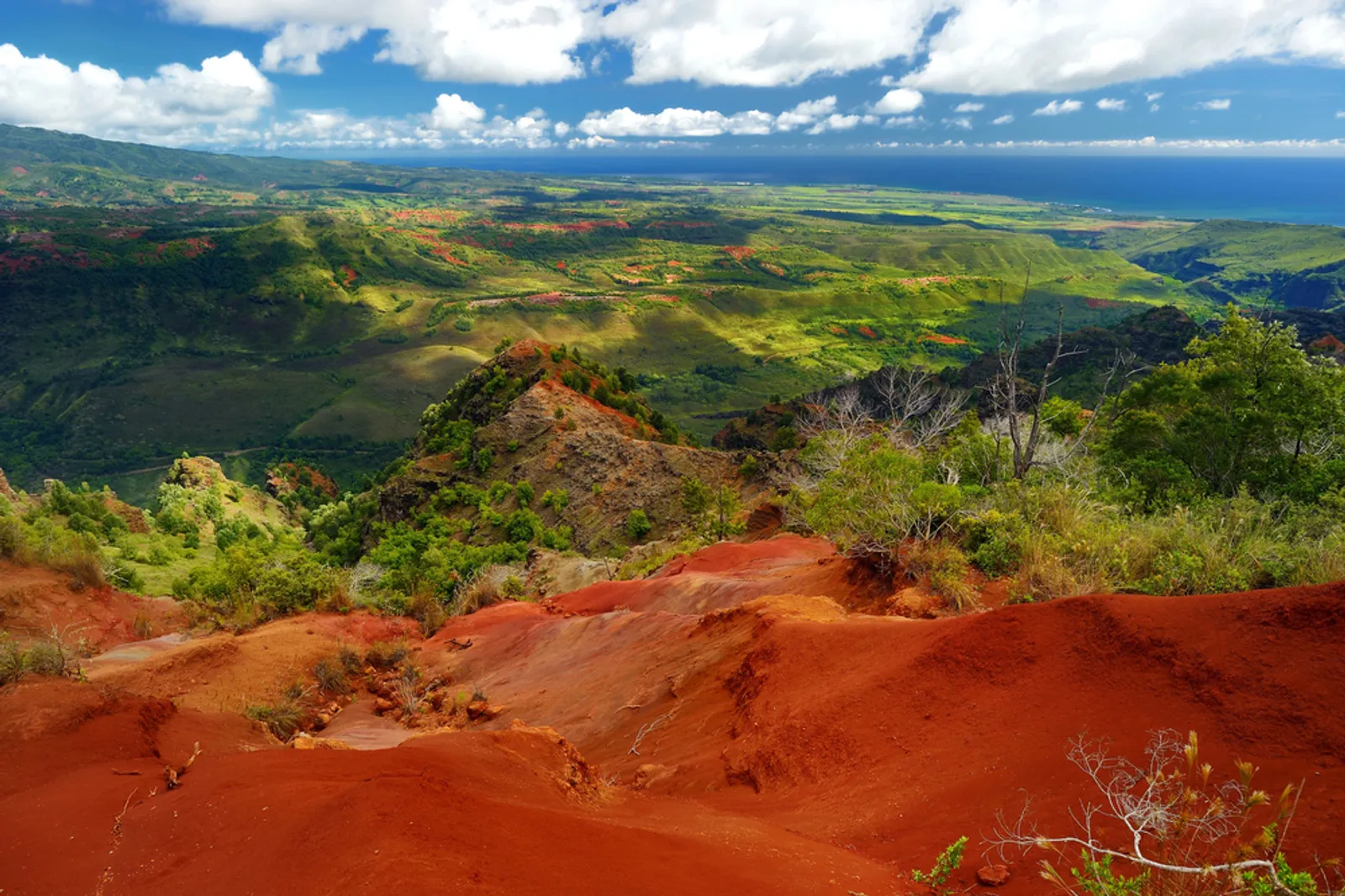 Waimea Canyon dramatic landscape view