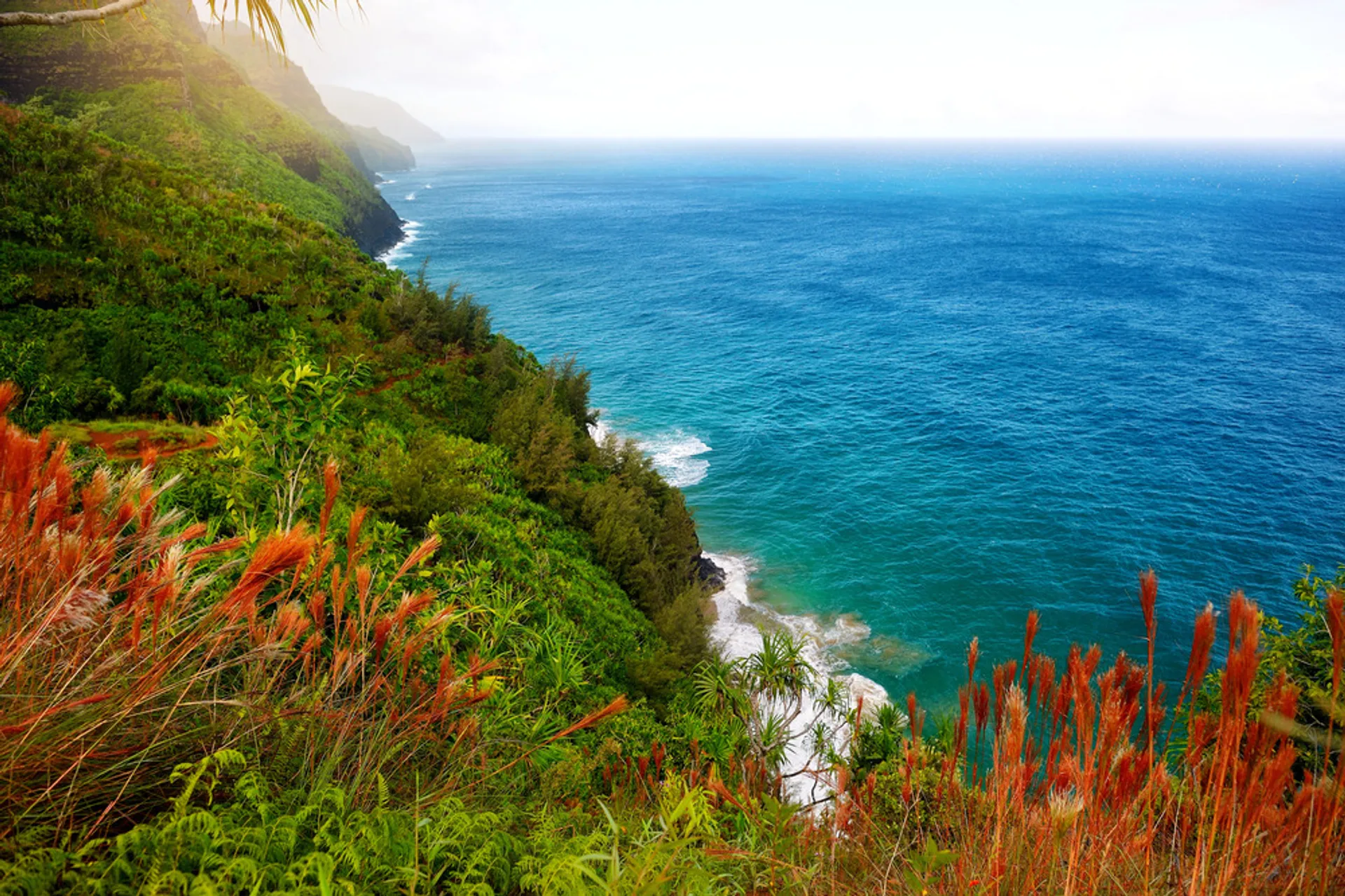 Spectacular view from Sleeping Giant Trail overlooking Kauai's coastline