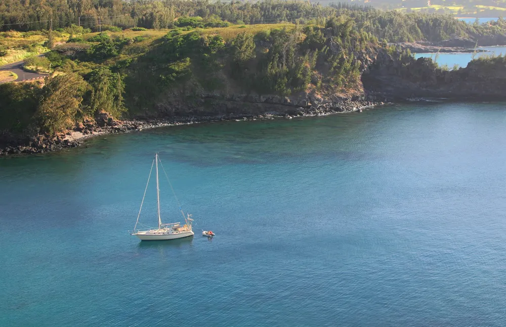 Scuba diver exploring vibrant coral reef in Maui