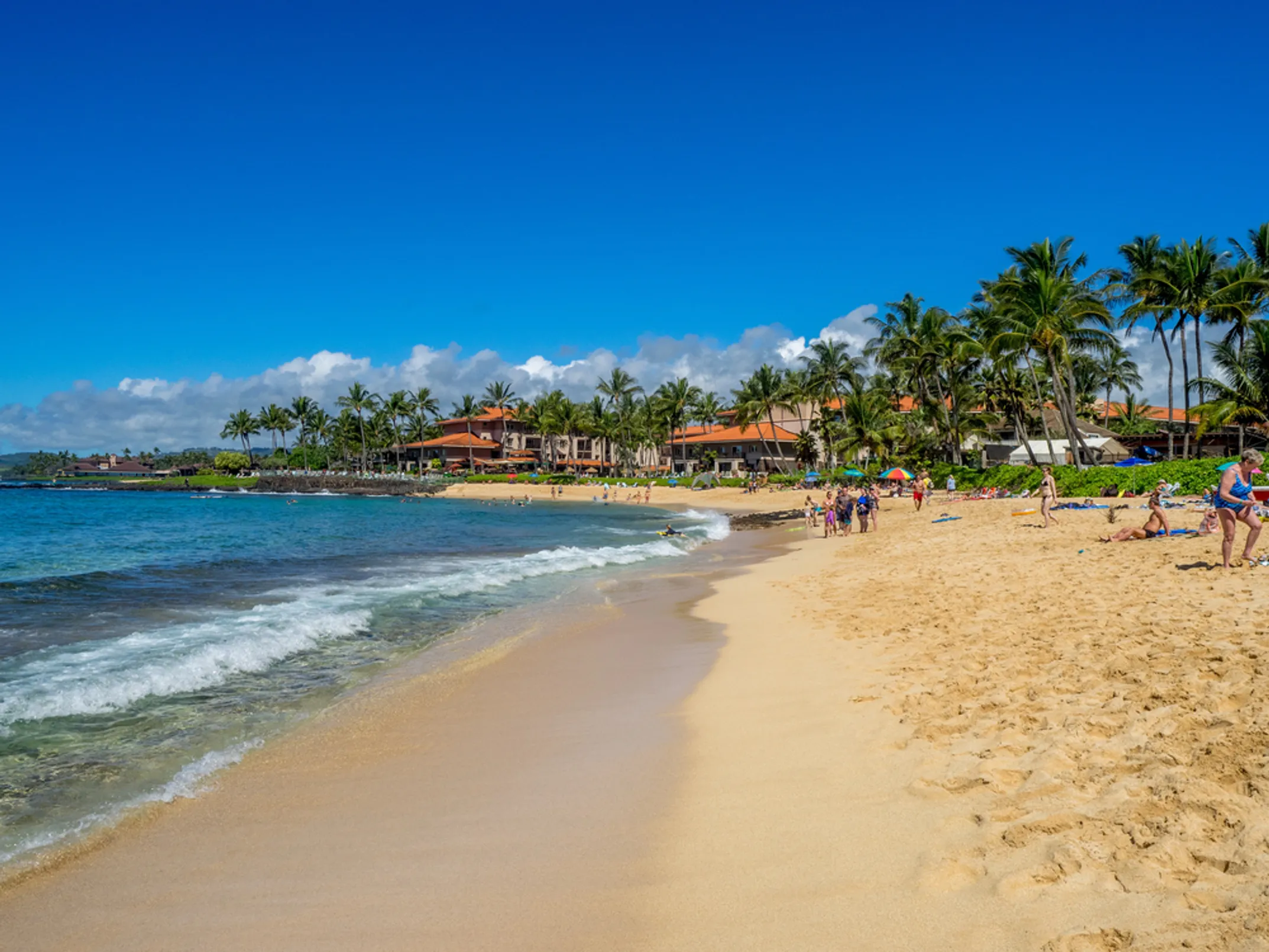 Hawaiian Green Sea Turtle on Poipu Beach