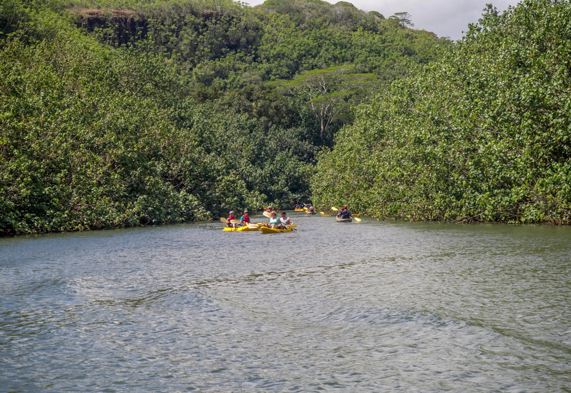 Aerial view of Wailua River winding through lush green valley