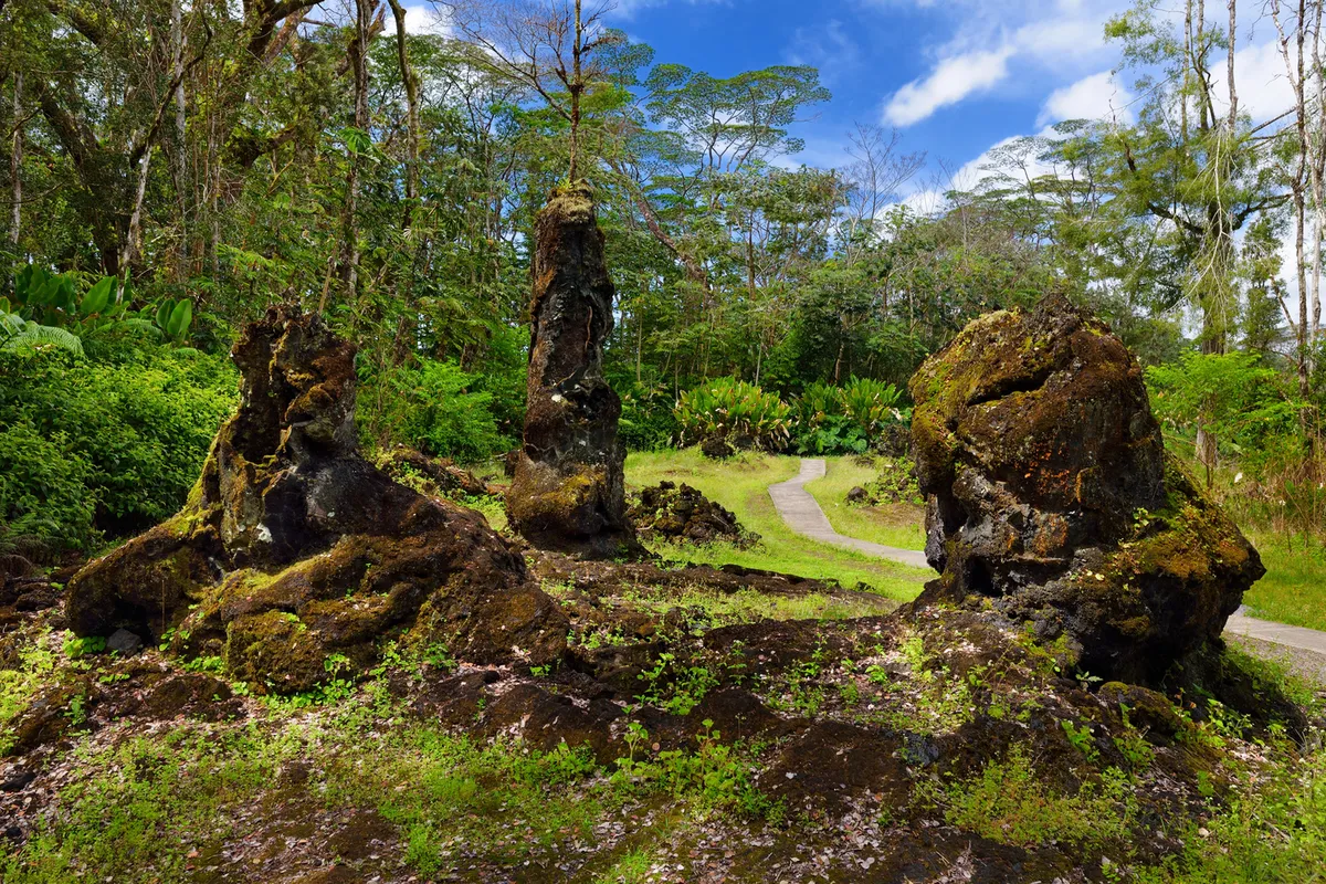 Ethereal photo of the stone lava trees rising from the forest floor, with moss and ferns growing on their dark surfaces, misty atmosphere