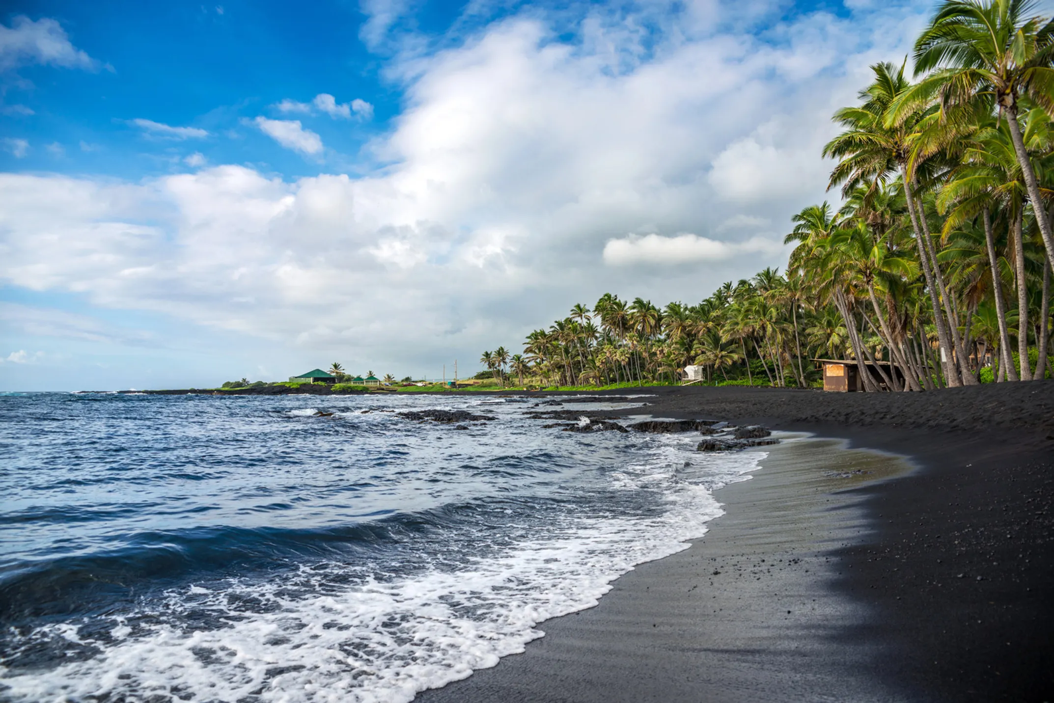 Hawaiian green sea turtles basking on black sand at Punaluʻu