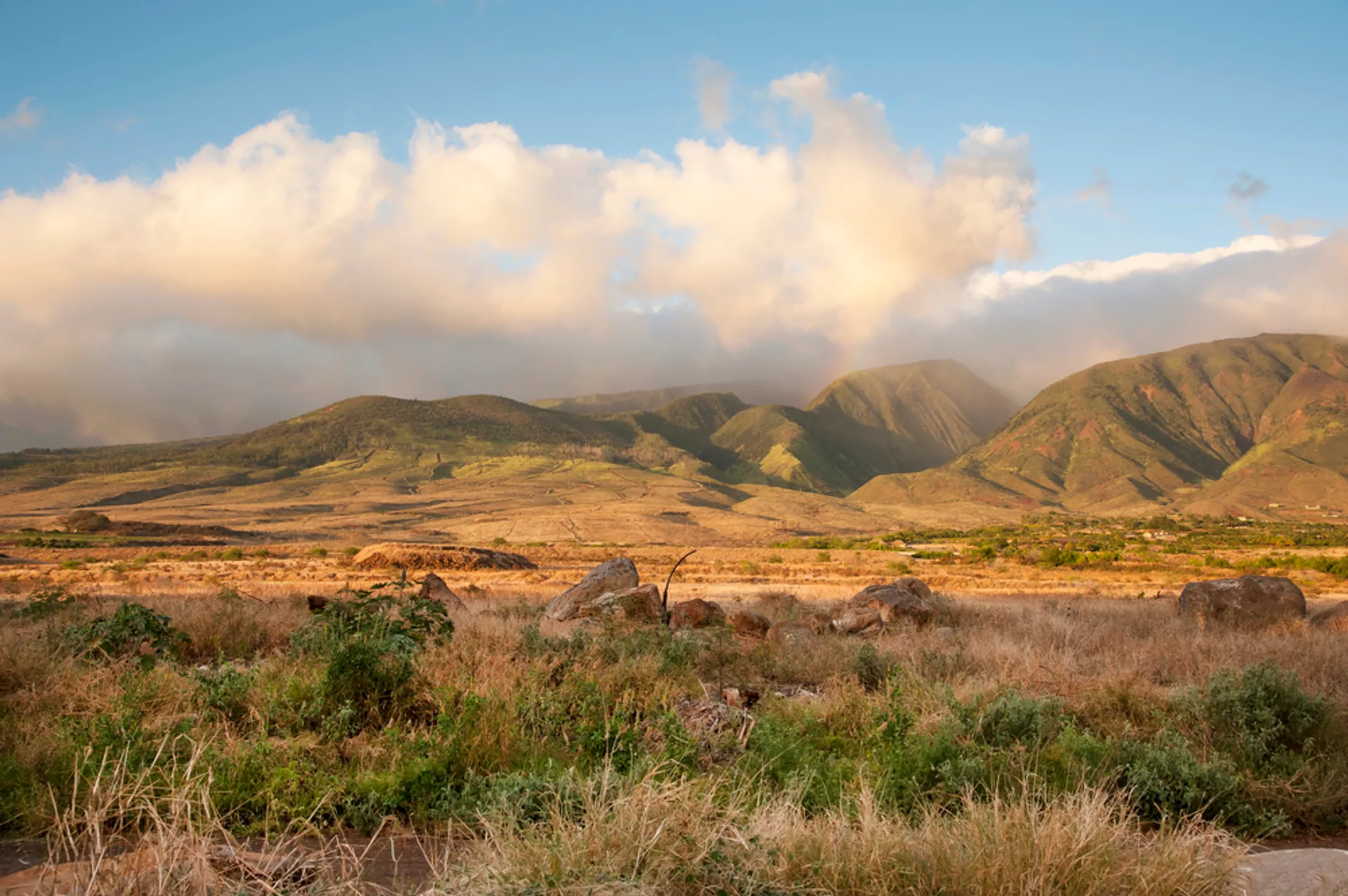 Water activities in West Maui including snorkeling and kayaking