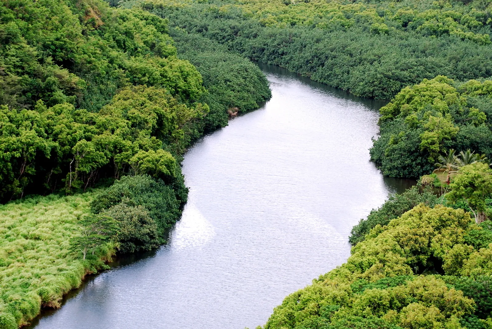 Aerial view of Kapaʻa town with historic buildings and coastal path