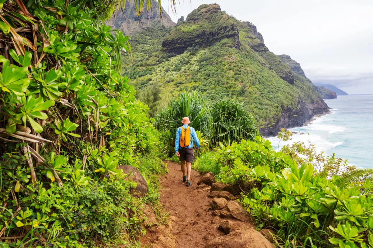 Aerial view of Kauai's dramatic Na Pali Coast with emerald cliffs meeting turquoise ocean waters
