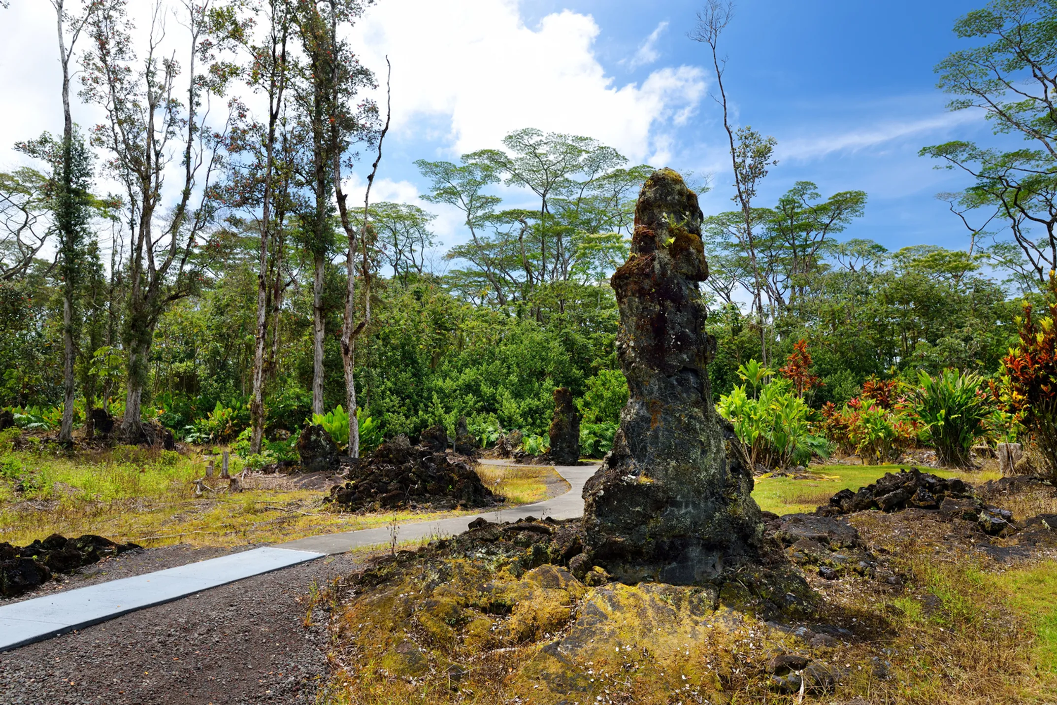 Lava Tree State Monument - Stone forest created by ancient volcanic activity