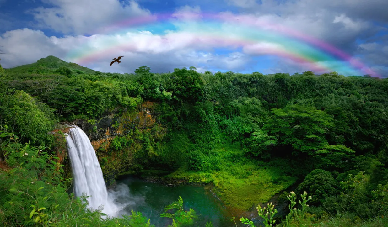 Aerial view of Kauai showing all four regions