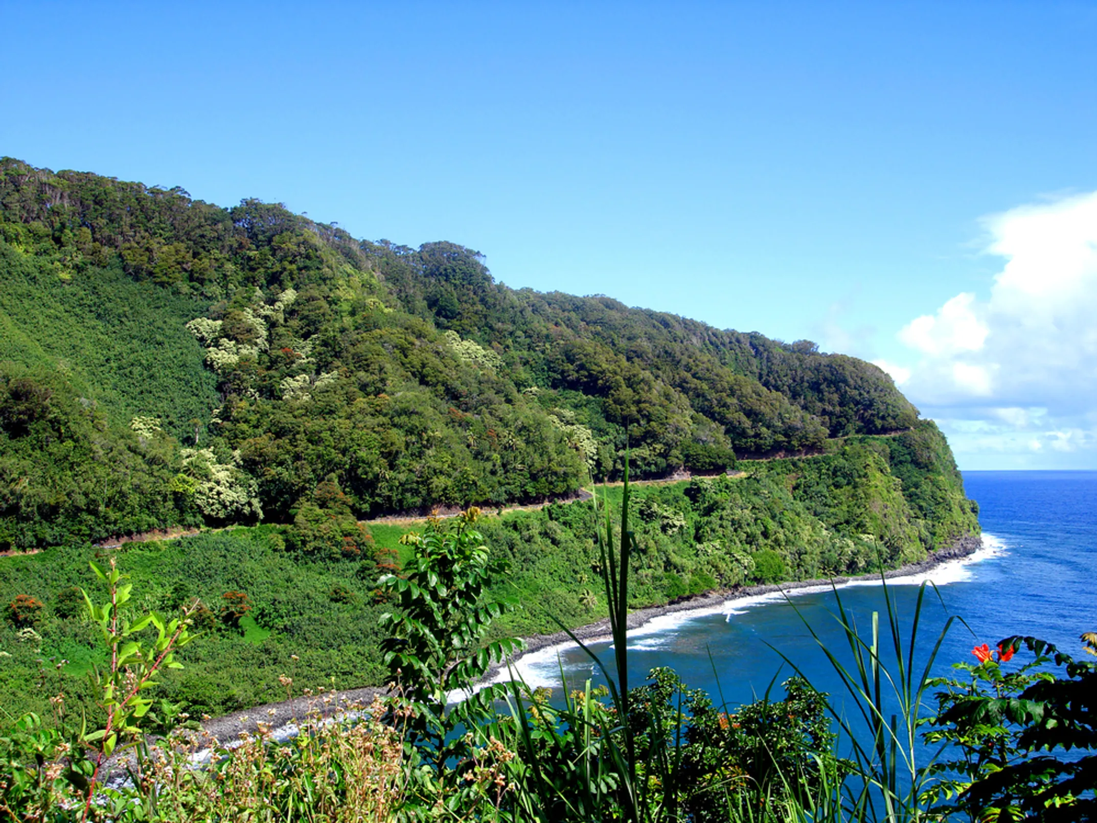 The scenic Road to Hāna winding through lush Hawaiian rainforest with coastal views