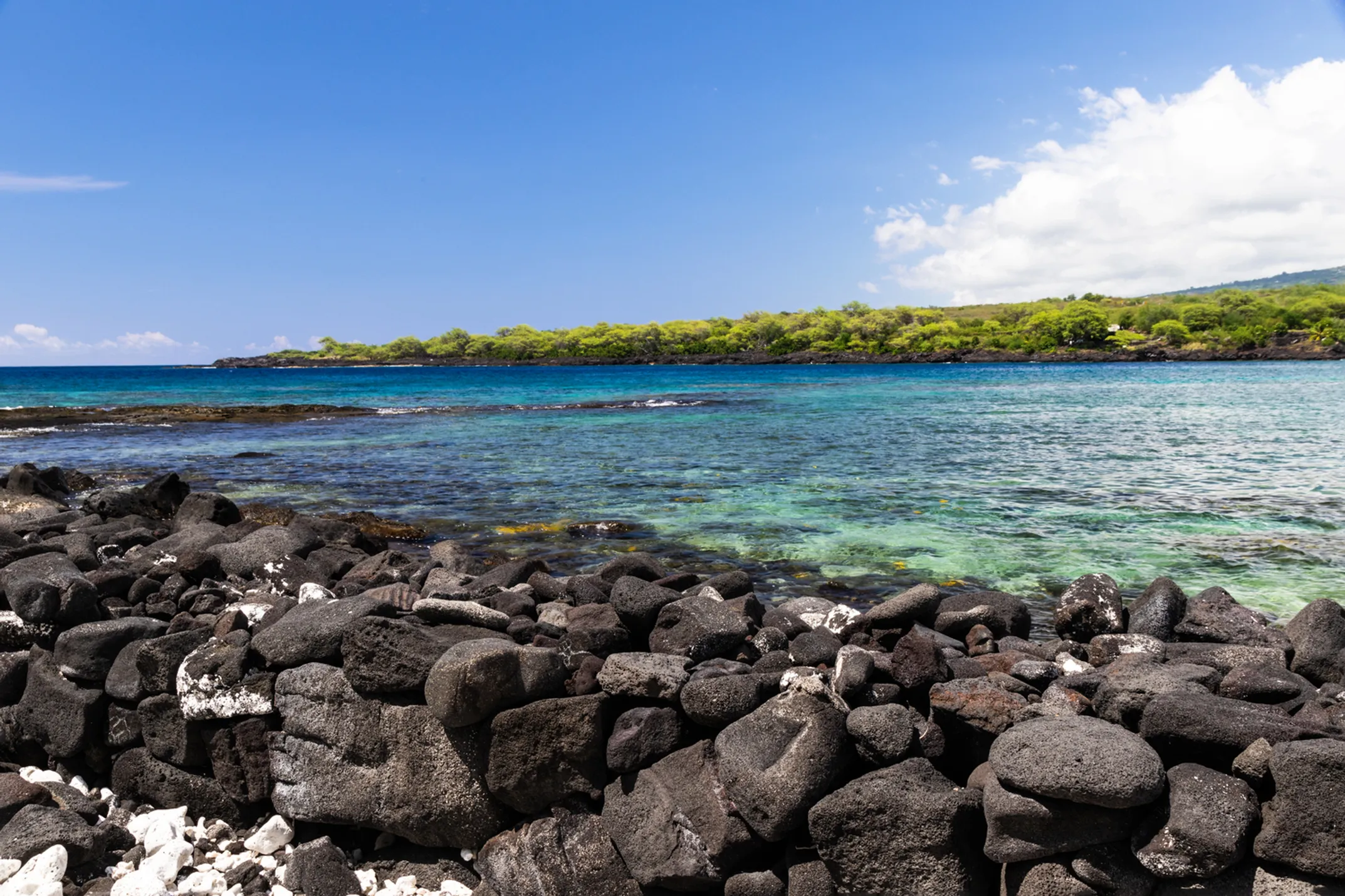 Historical scene of Captain Cook's ships arriving at Kealakekua Bay