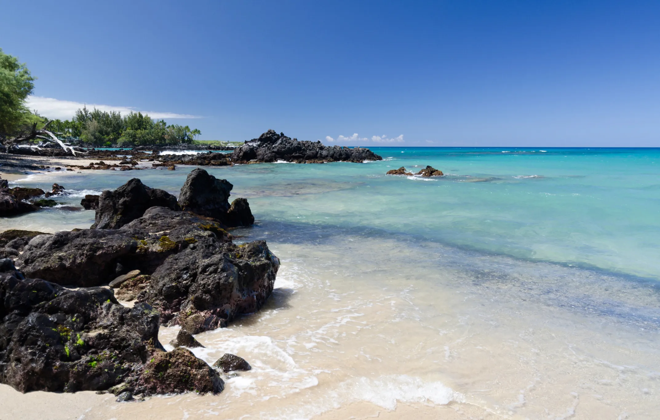 Waialea Beach (Beach 69) with Kiawe trees and turquoise waters on the Kohala Coast