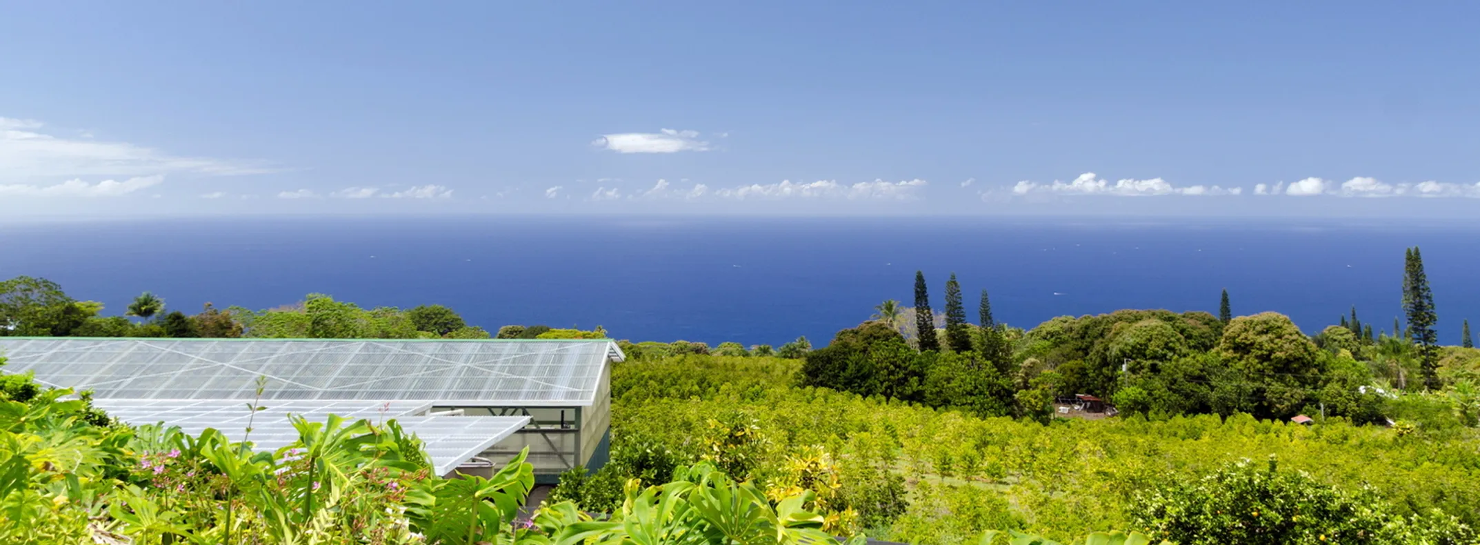 Historic Māmalahoa Highway in Hōlualoa with vintage plantation buildings