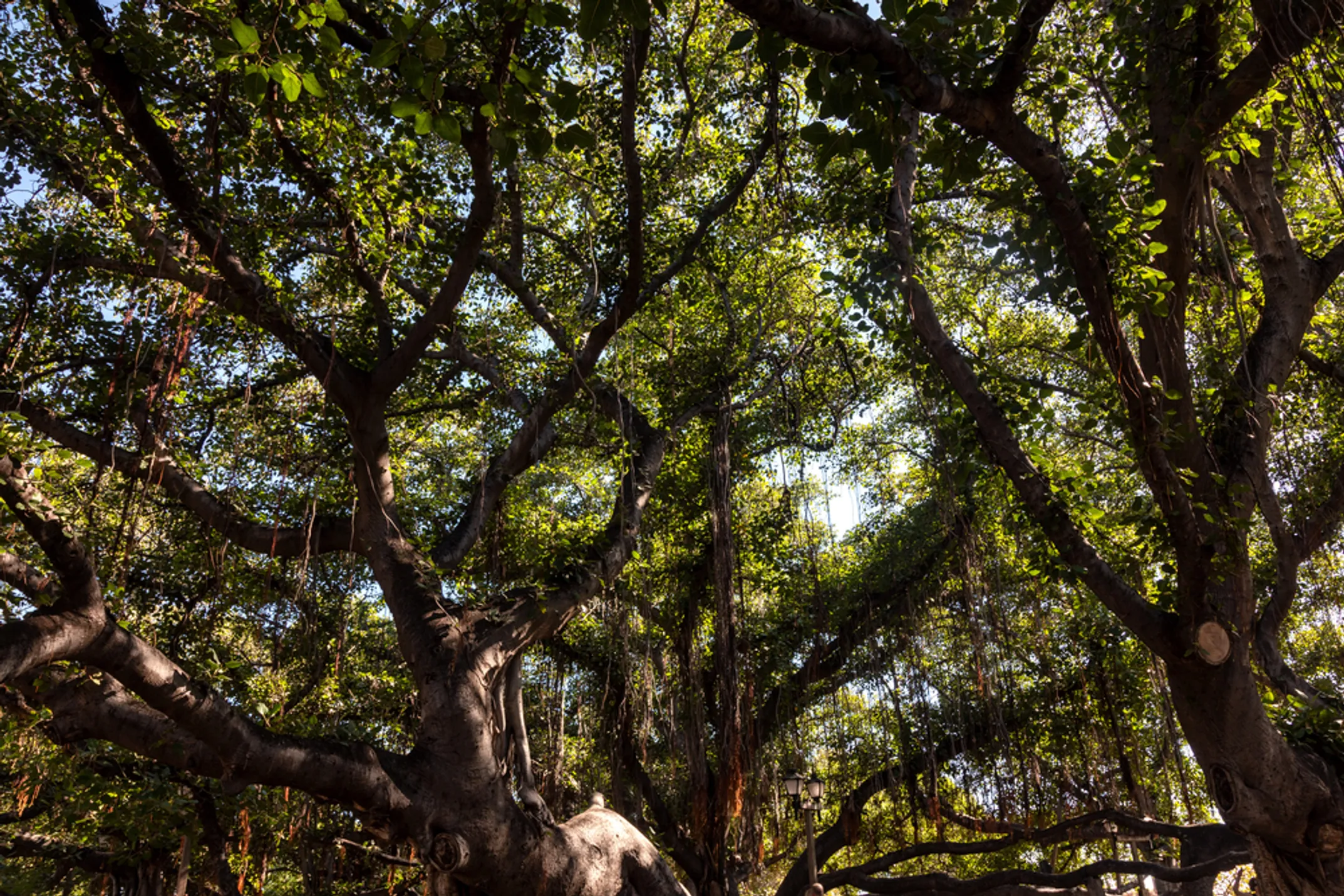 West Maui coastline with mountains