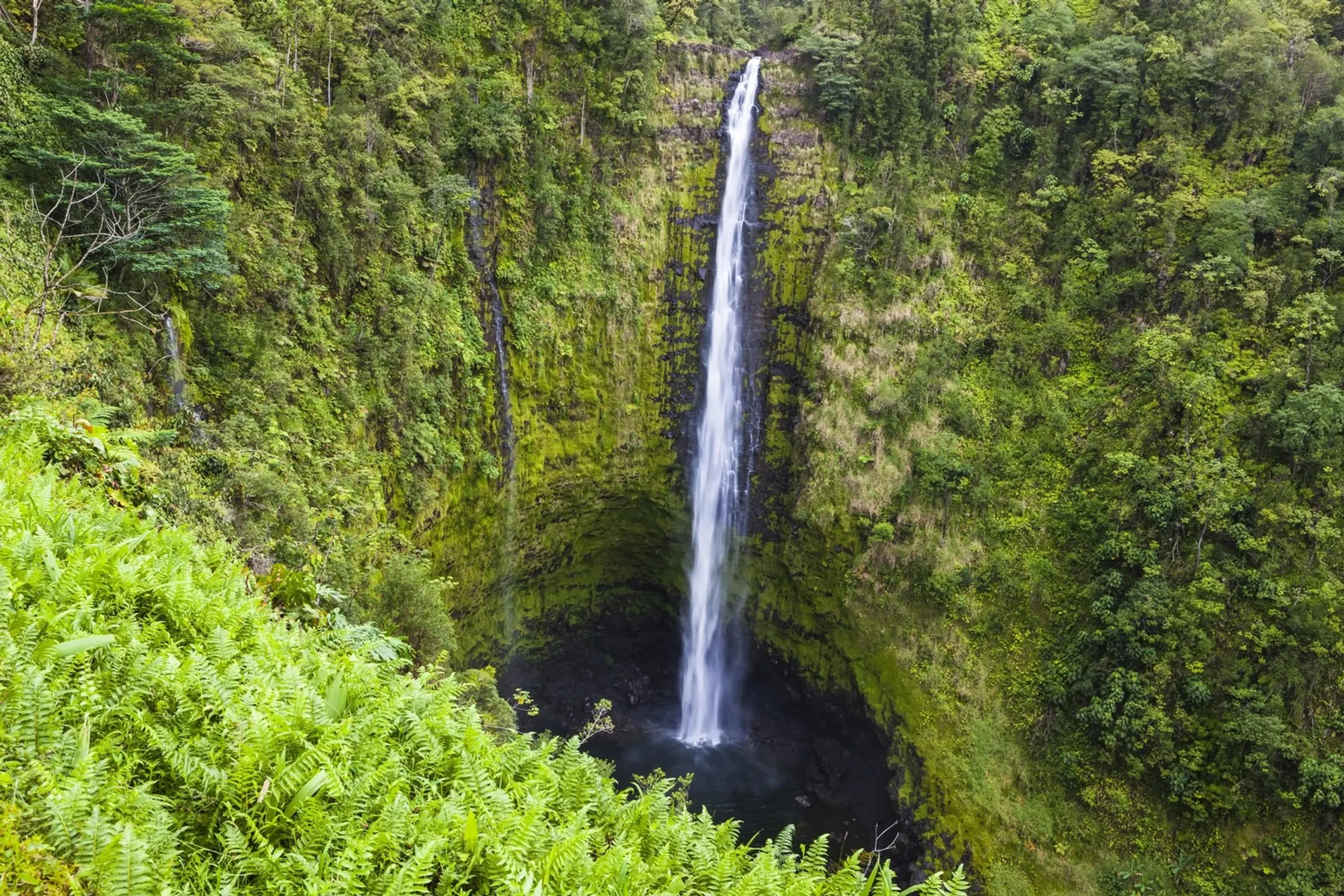 Professional photographer capturing Akaka Falls with proper equipment