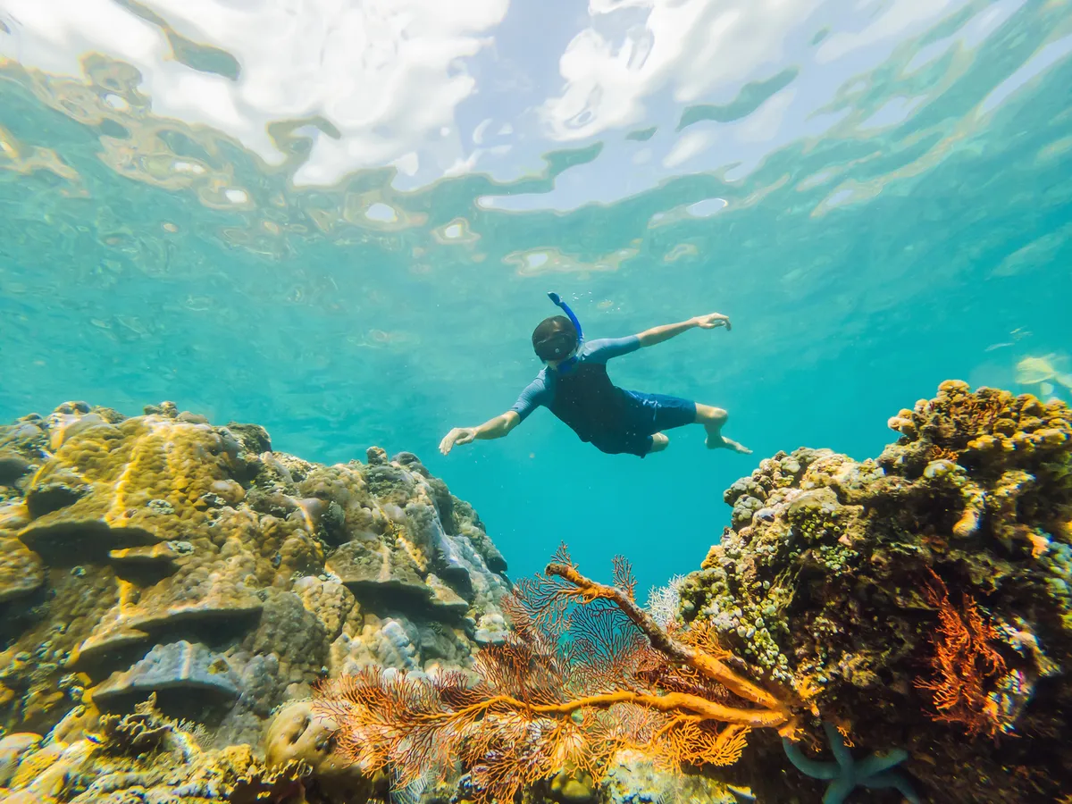 Underwater shot of colorful coral reef with tropical fish and clear blue water, capturing the vibrant marine life that awaits snorkelers in Maui's pristine waters
