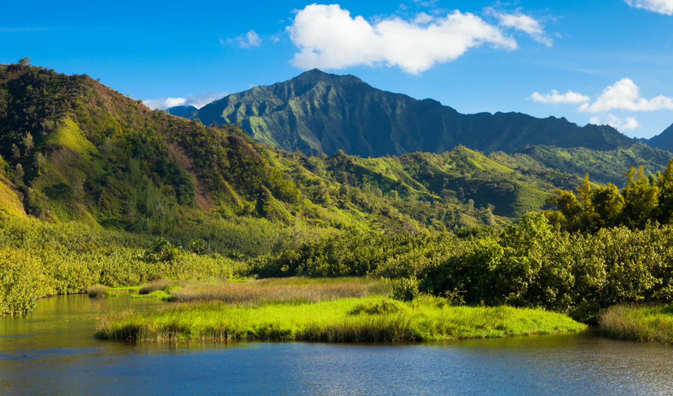 Volunteers restoring Alekoko Fishpond on Kauai