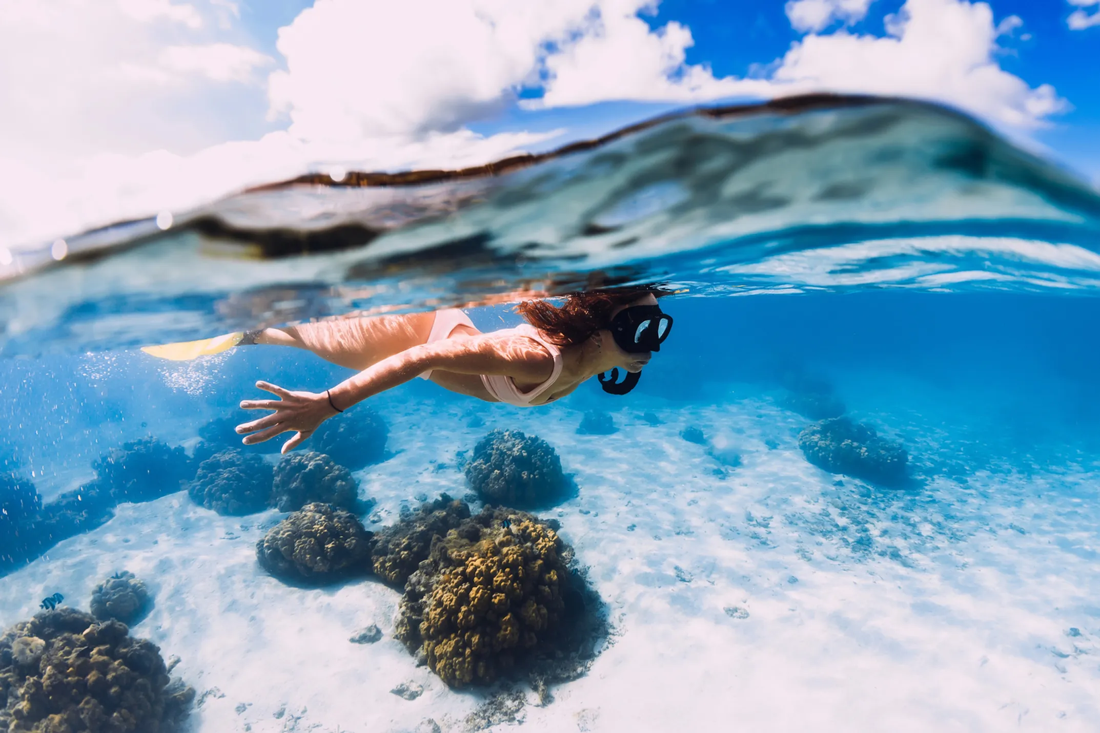 Beautiful Maui underwater scene with tropical fish and coral reefs