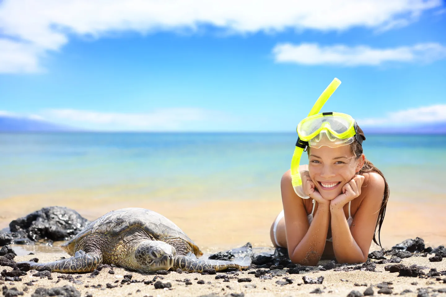 Snorkeler relaxing on a Hawaiian beach beside a green sea turtle