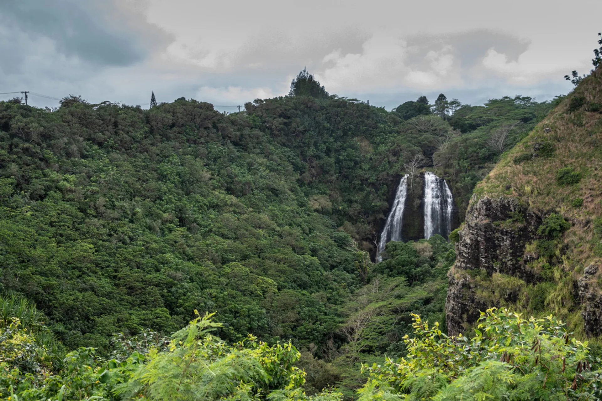 ʻOpaekaʻa Falls and the lush Wailua Valley