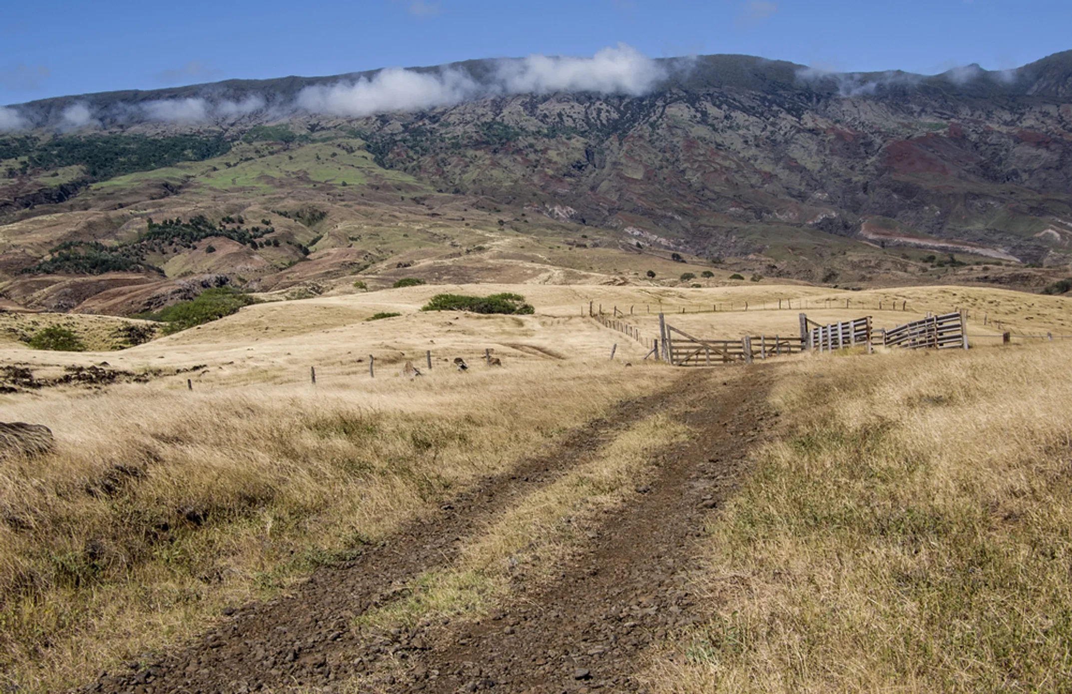 Planning your Makawao Upcountry Maui visit