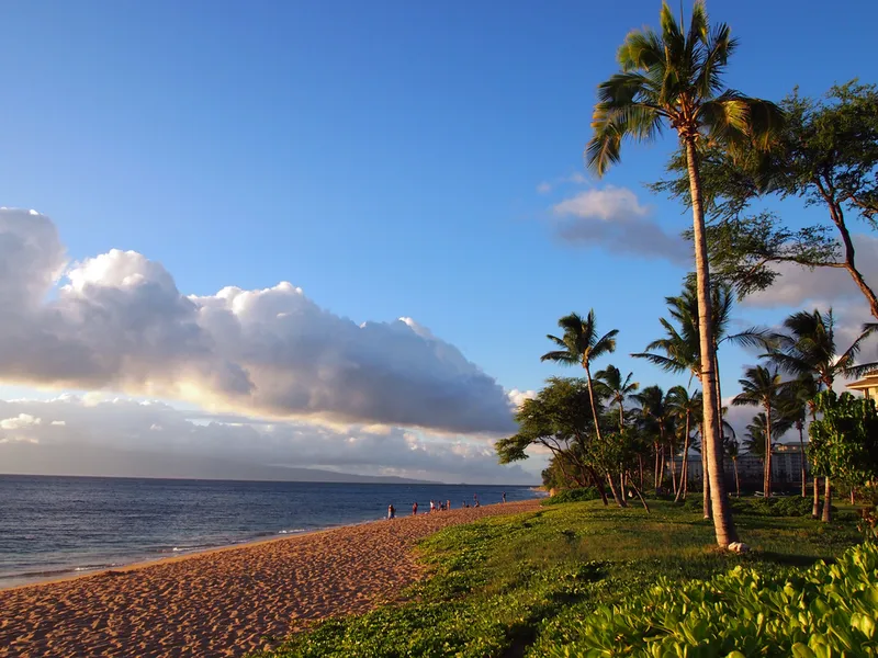 Beautiful Maui beach at sunset with palm trees and ocean views