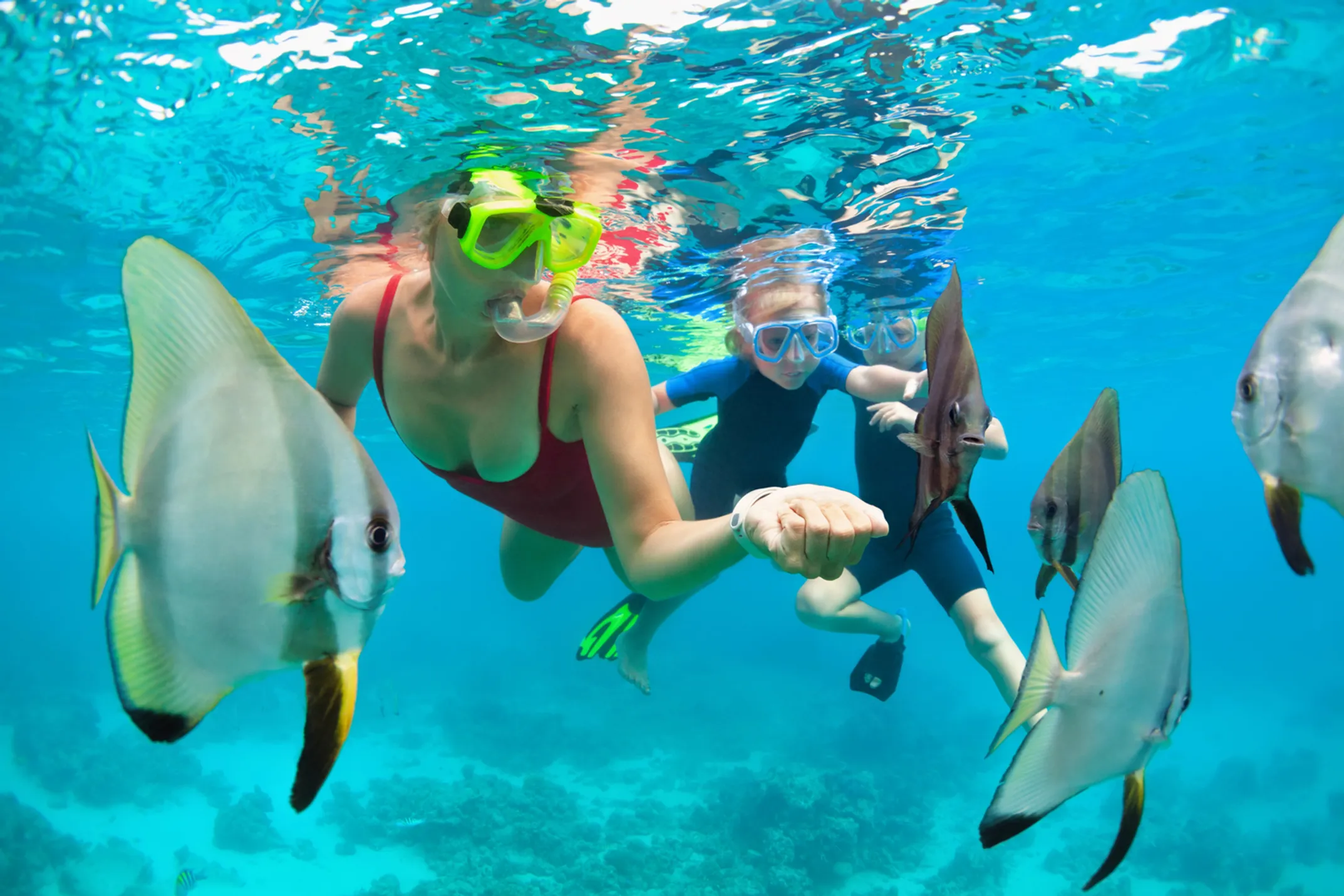 Expert recommendations for the perfect Oahu snorkeling adventure