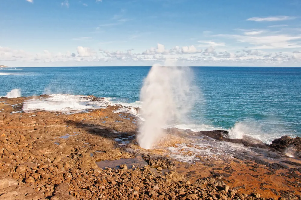 Spouting Horn dramatic water spray against rocky coastline