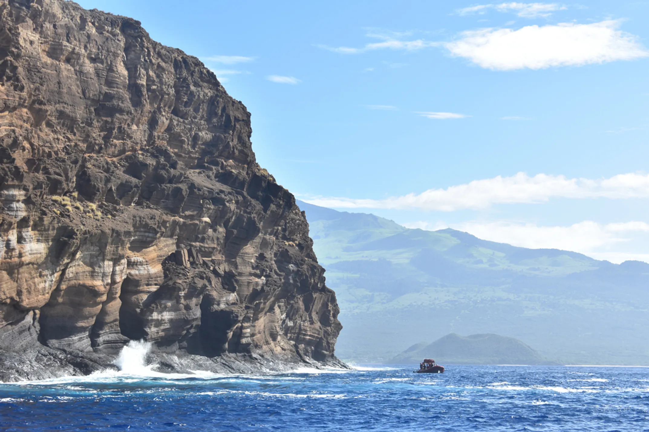 Colorful fish at Molokini Crater
