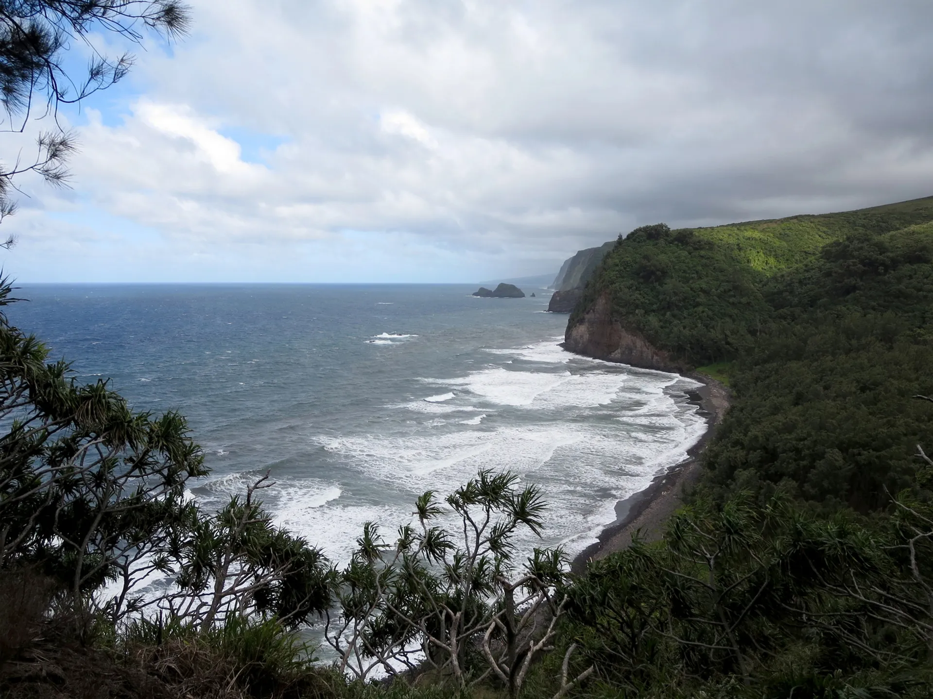 Dramatic view of Pololū Valley's rugged coastline and lush vegetation