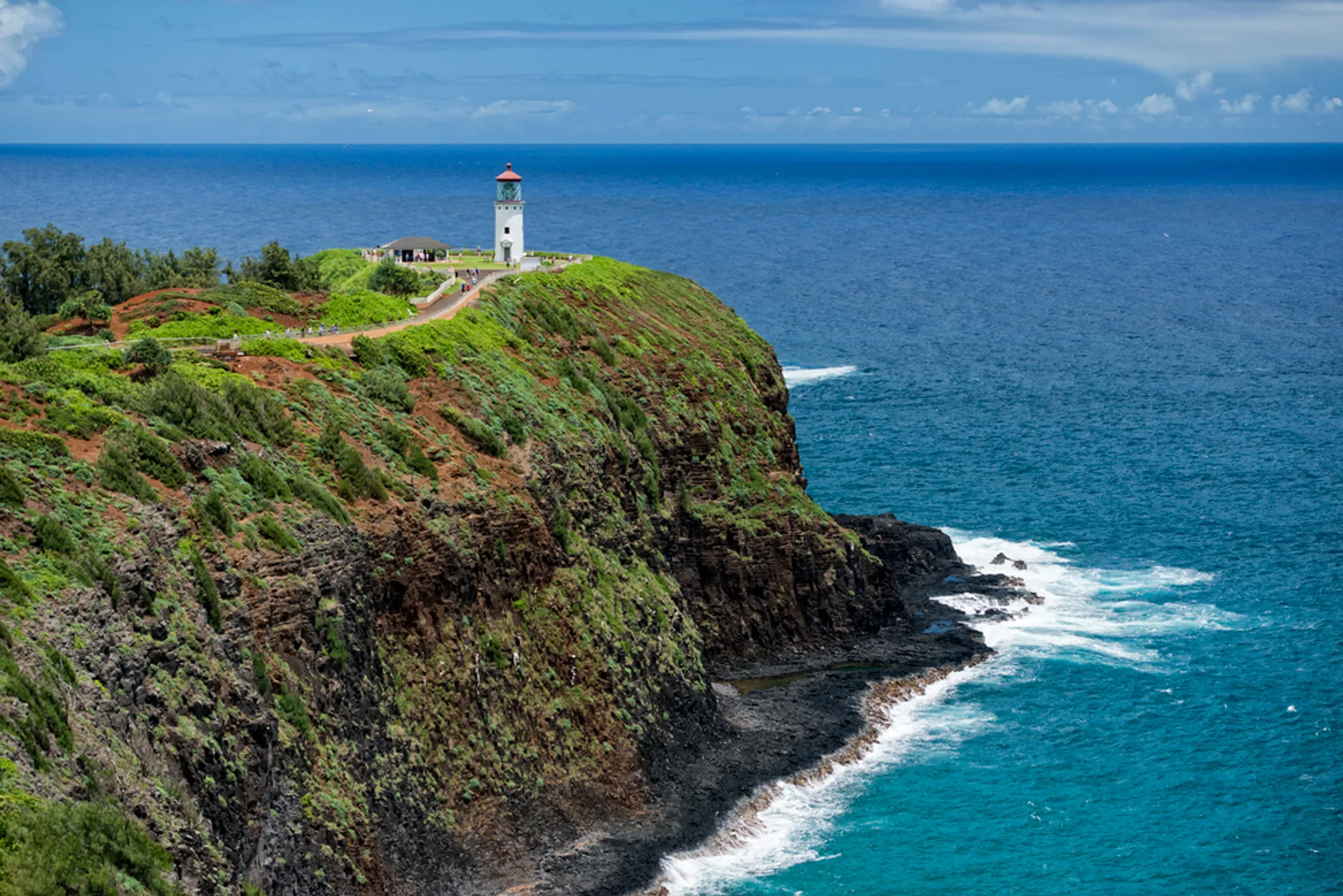Seabirds soaring around Kīlauea Point with ocean below