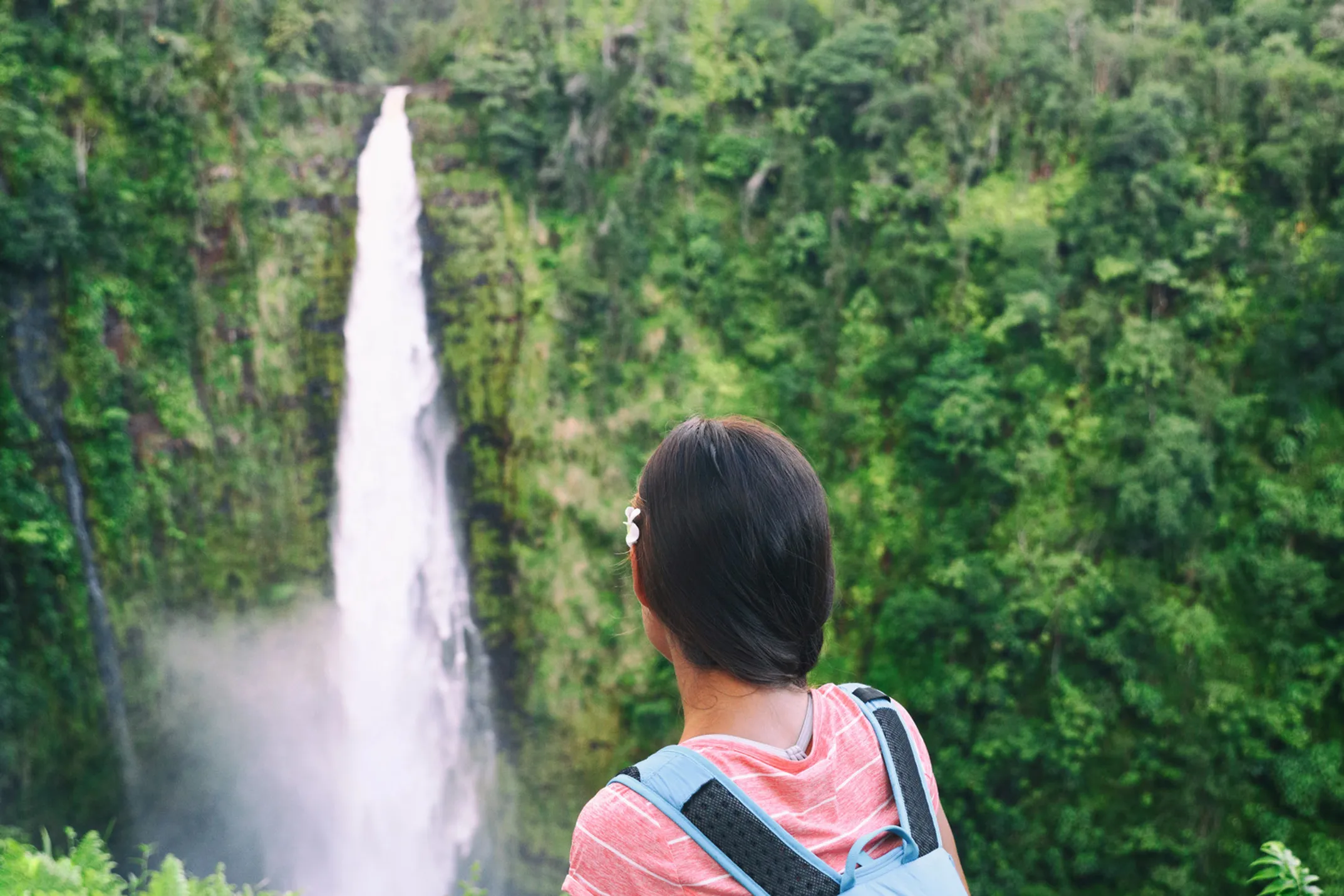 Akaka Falls cascading through lush Hawaiian rainforest