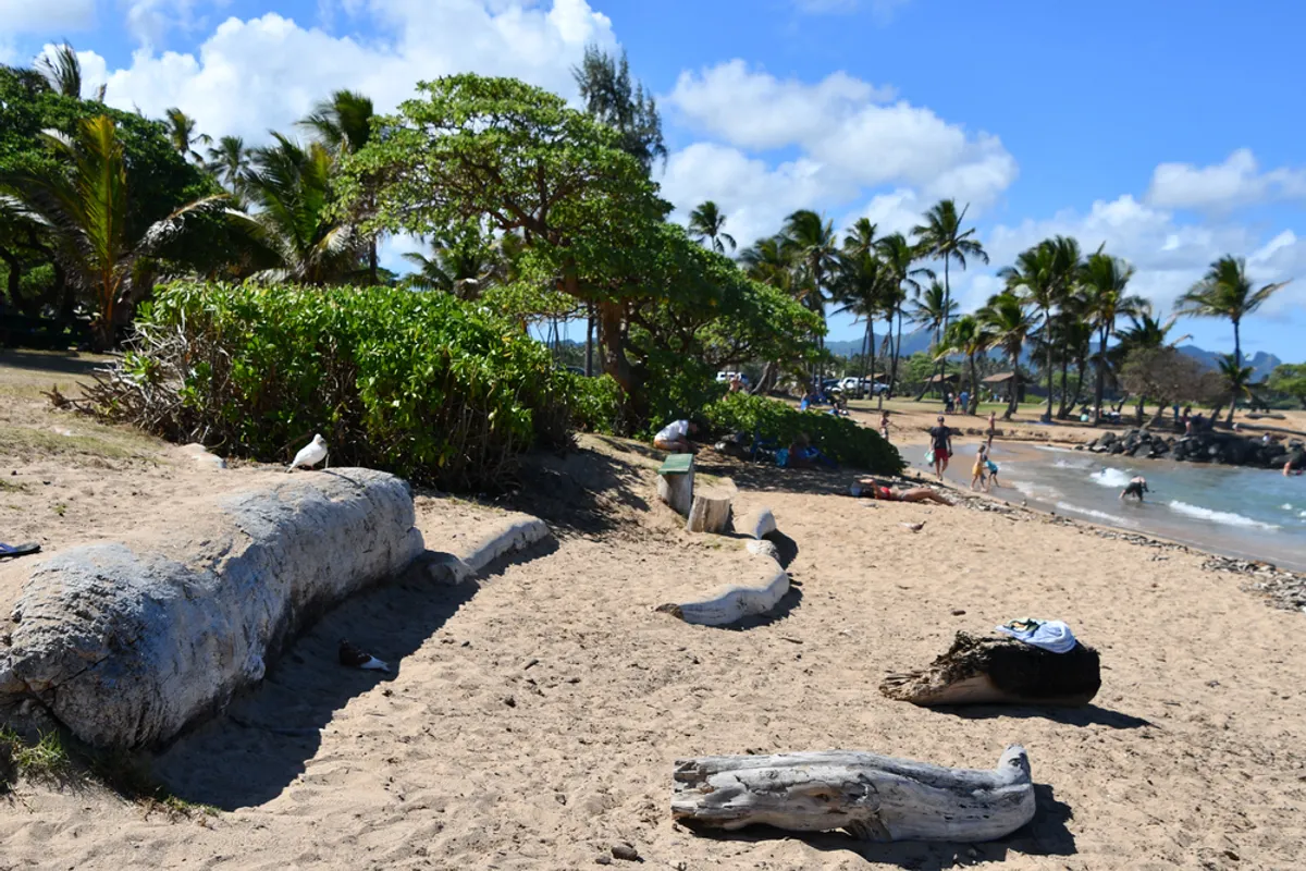 Lydgate Beach Park protected swimming ponds