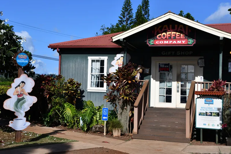 Kona coffee plantation with lush green coffee plants and ocean views