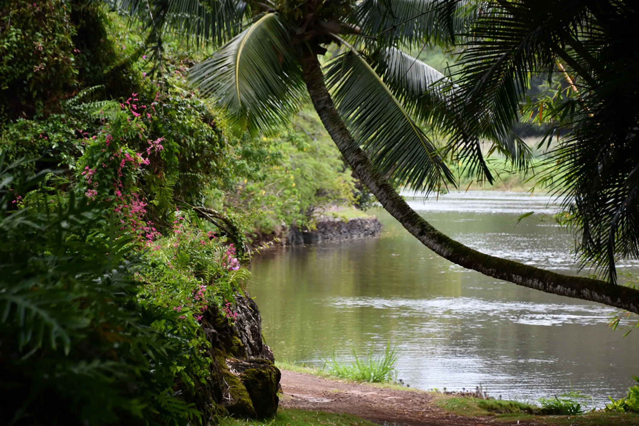 Beautiful Kauai South Shore coastline with dramatic scenery