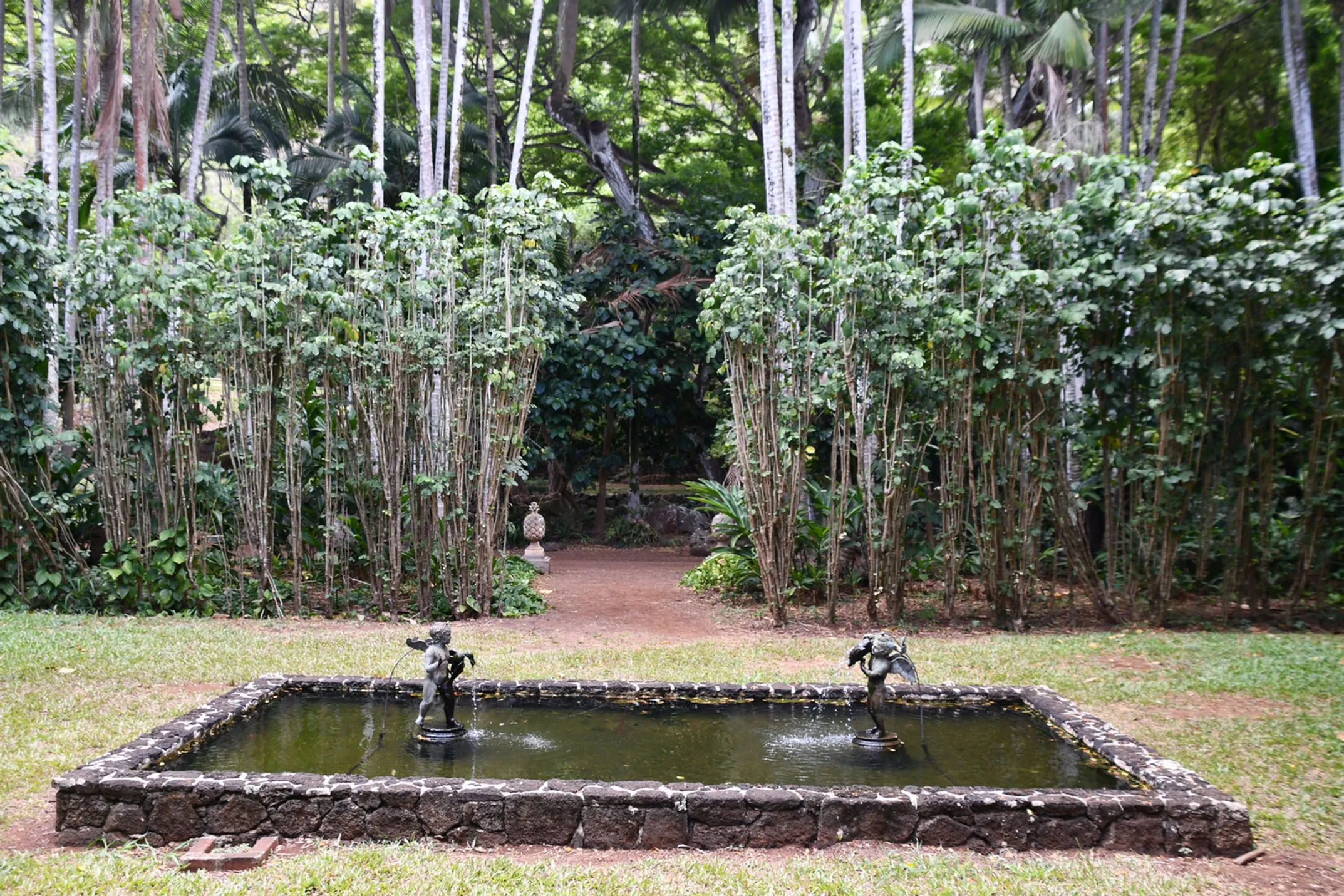 Planning your perfect Big Island botanical garden adventure
