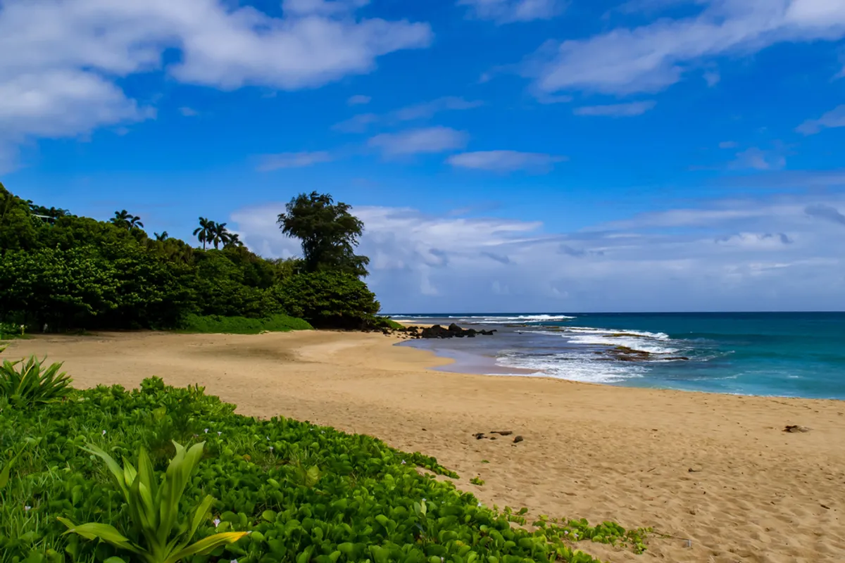 Wide panoramic view of Kealia Beach showing the golden sand, powerful shorebreak, and the coastal path with cyclists