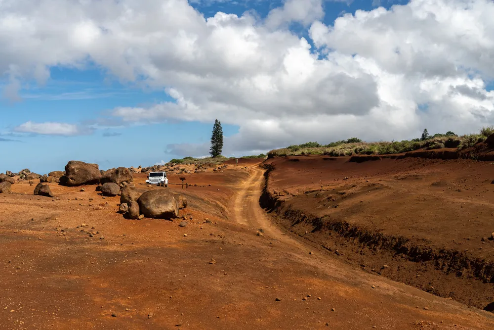 Historic Dole Park in Lānaʻi City with towering Cook Island pines