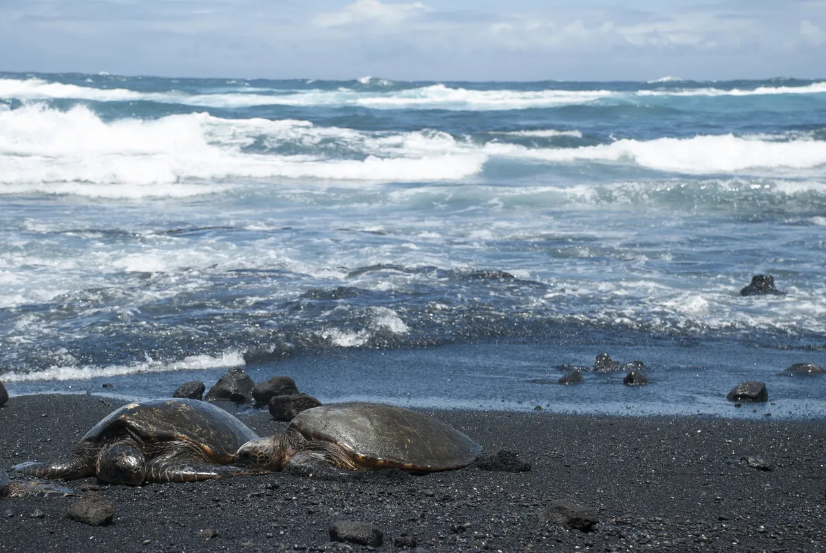 Stunning panoramic view of one of Oahu's hidden beaches at sunrise, showing pristine white sand, turquoise waters, and the dramatic Ko'olau Mountains in the background, with no crowds in sight