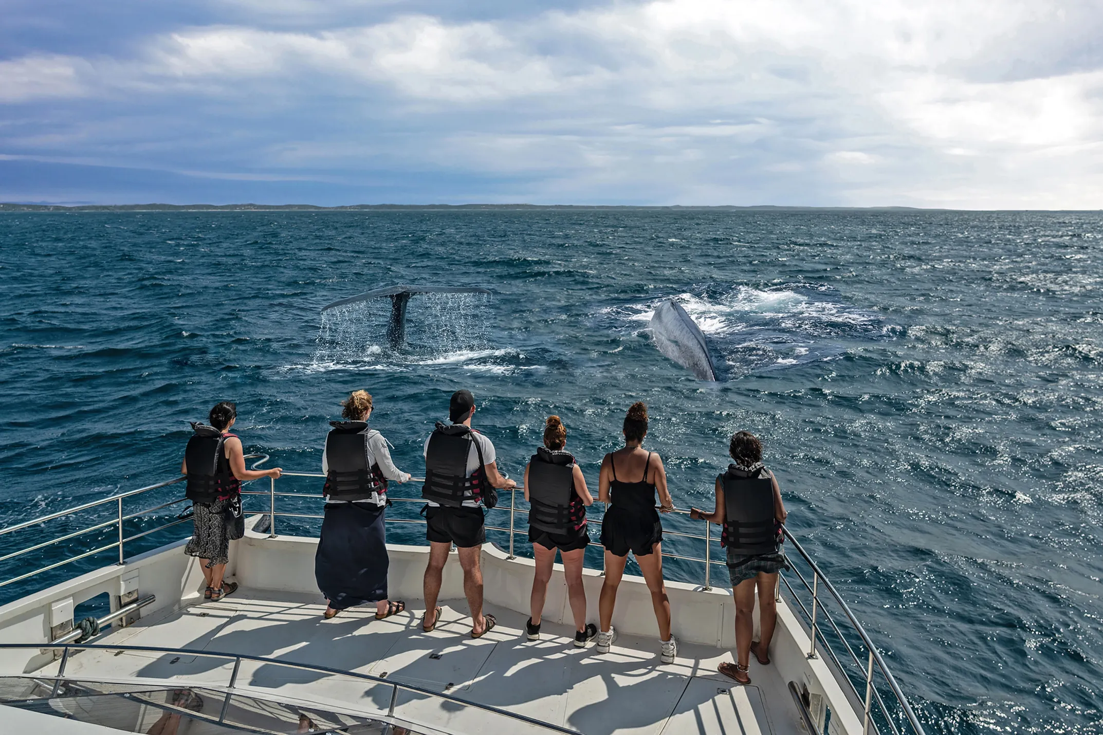 Person with binoculars watching whales from Big Island shoreline