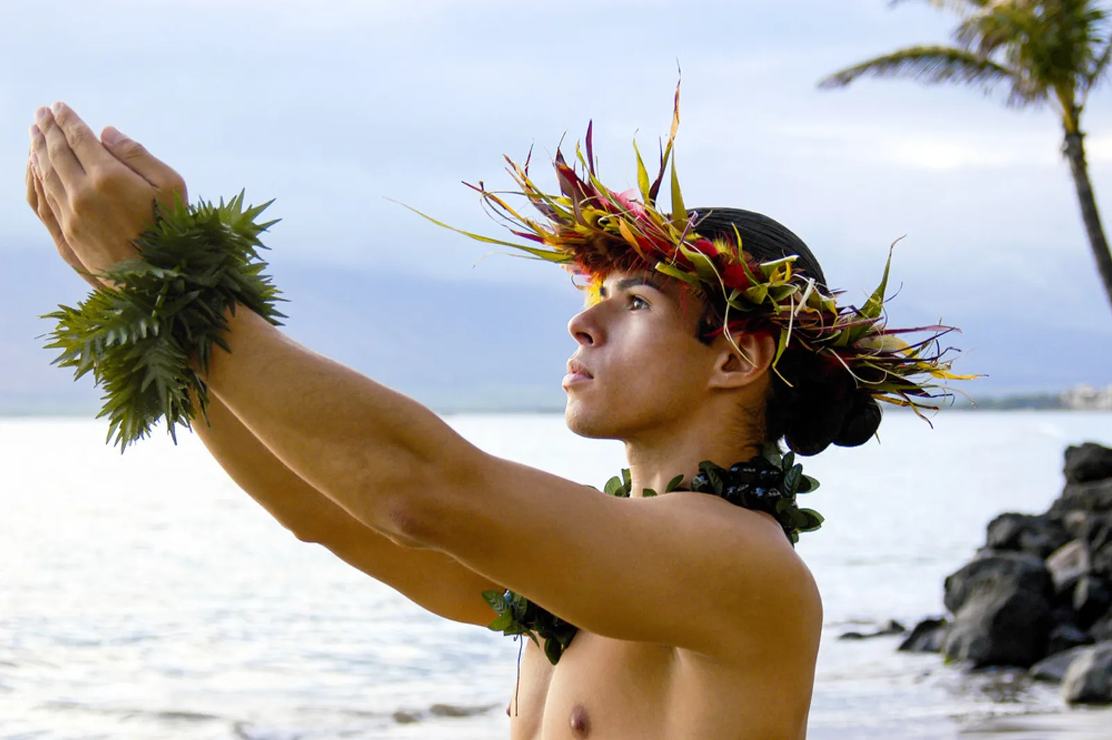 Traditional Hawaiian hula dancer performing with ti leaf skirt and lei