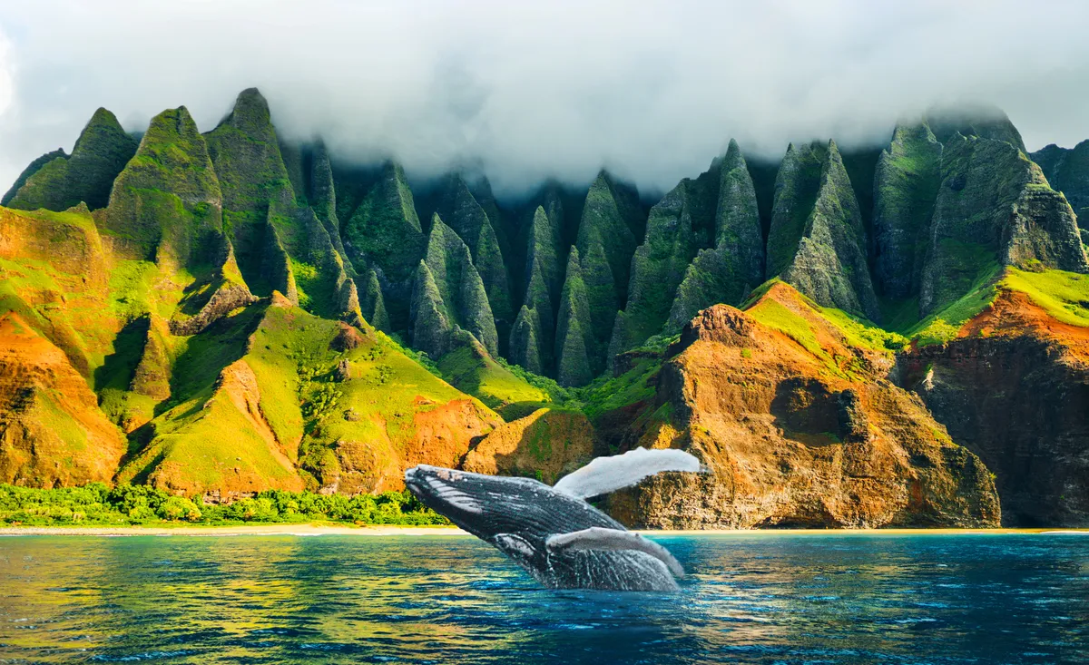 Humpback whale breaching off the Na Pali Coast with dramatic mountains in the background