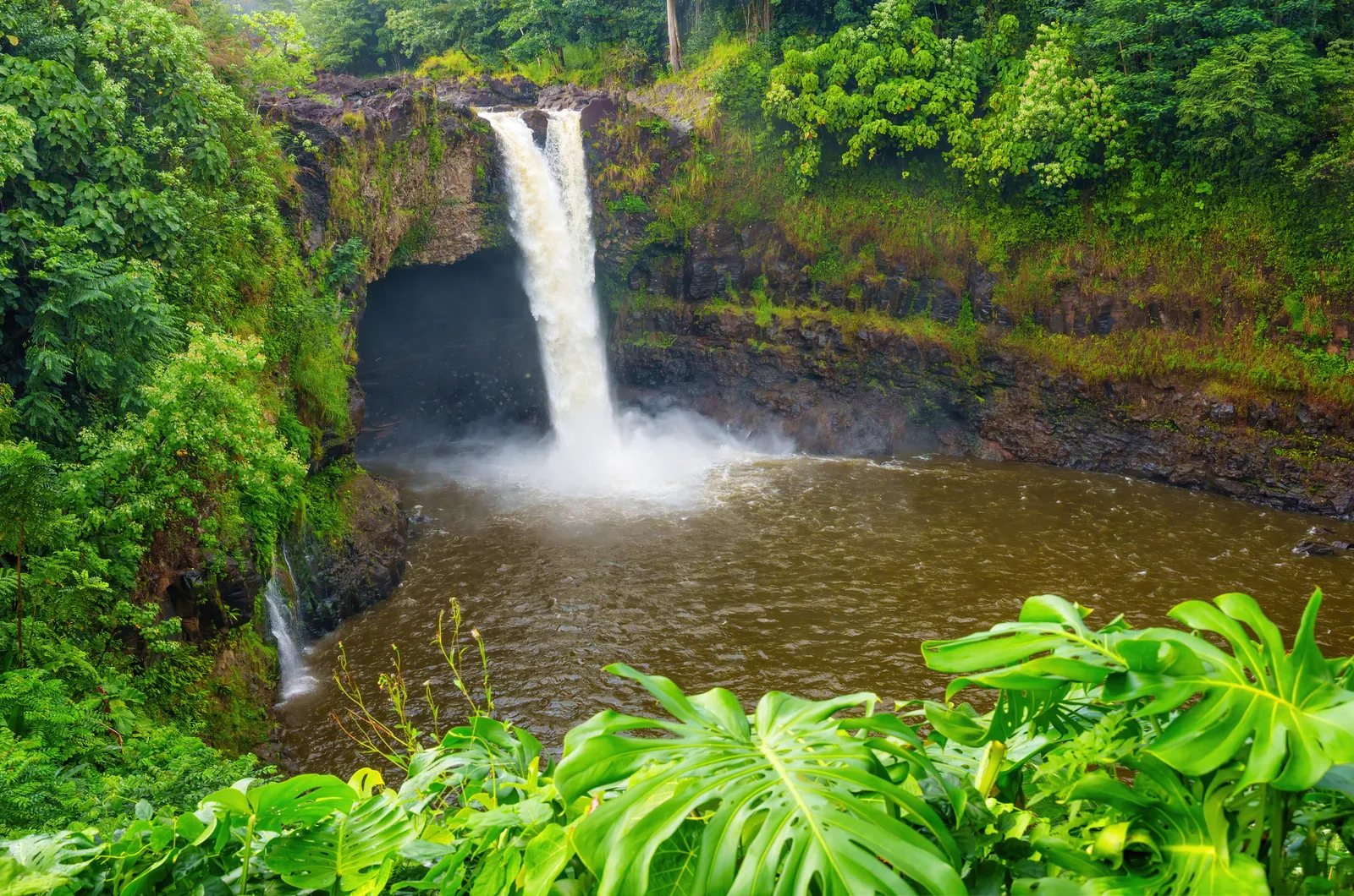 Wailuku River State Park waterfall with lush tropical vegetation