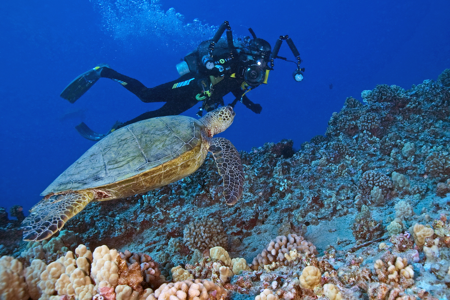 Top 10 Snorkeling Locations