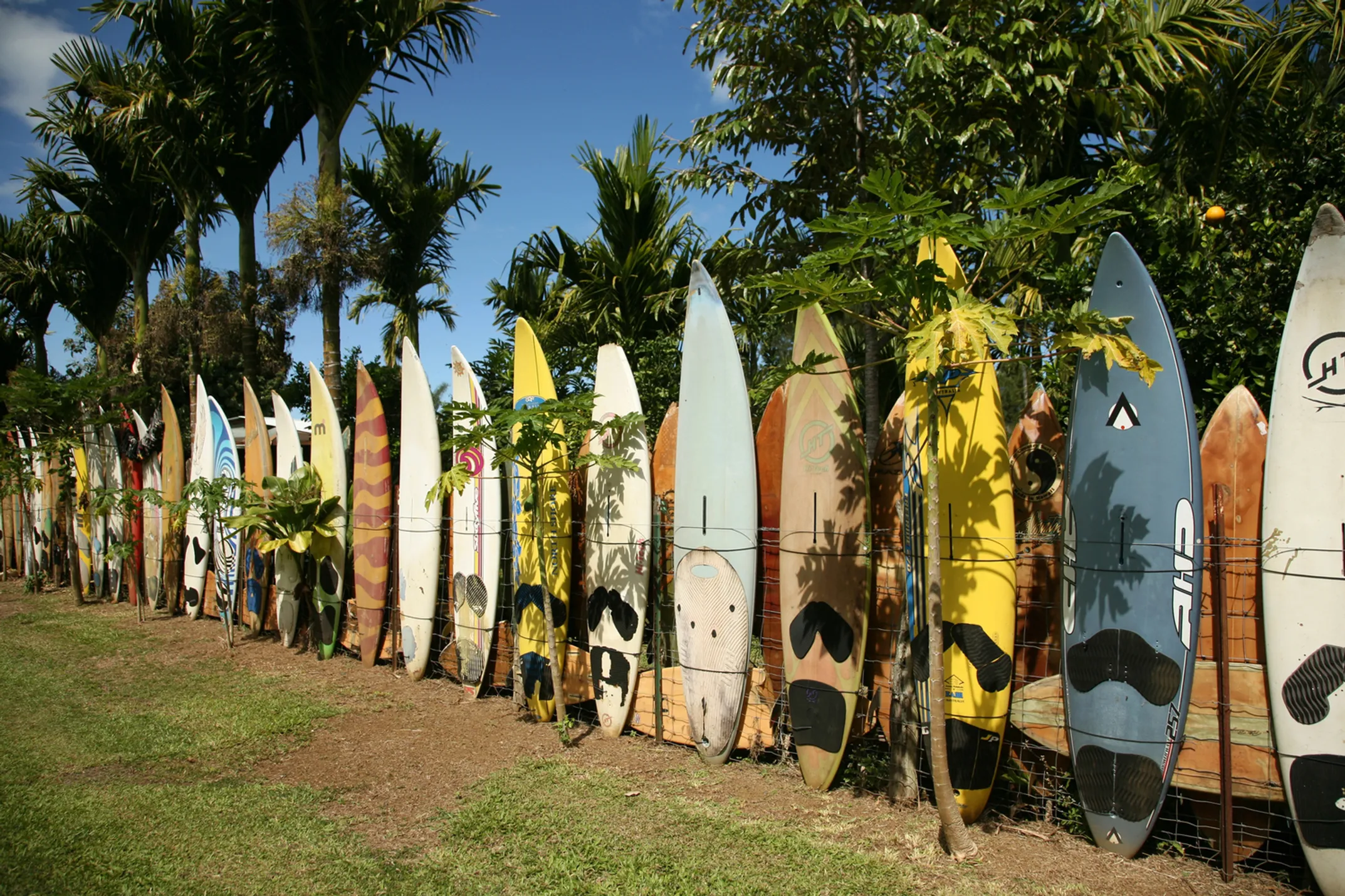 Surf instructor teaching beginner on Big Island with longboard