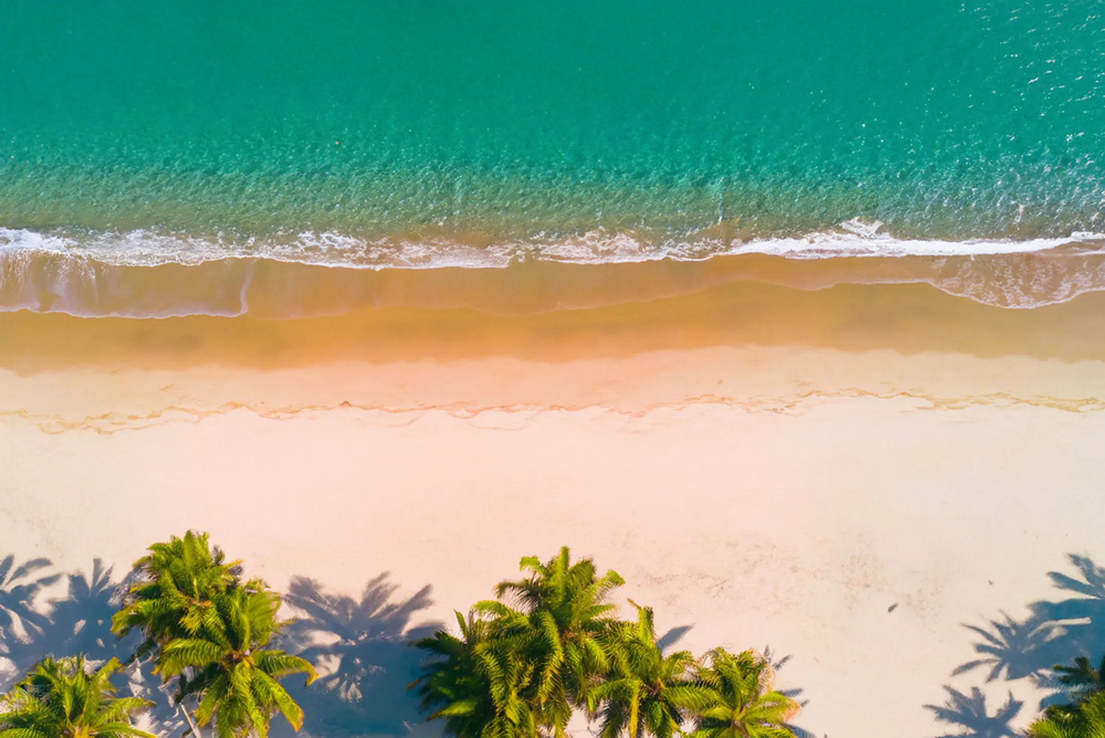 Kauai's East Side Coconut Coast with lush greenery and coastal views