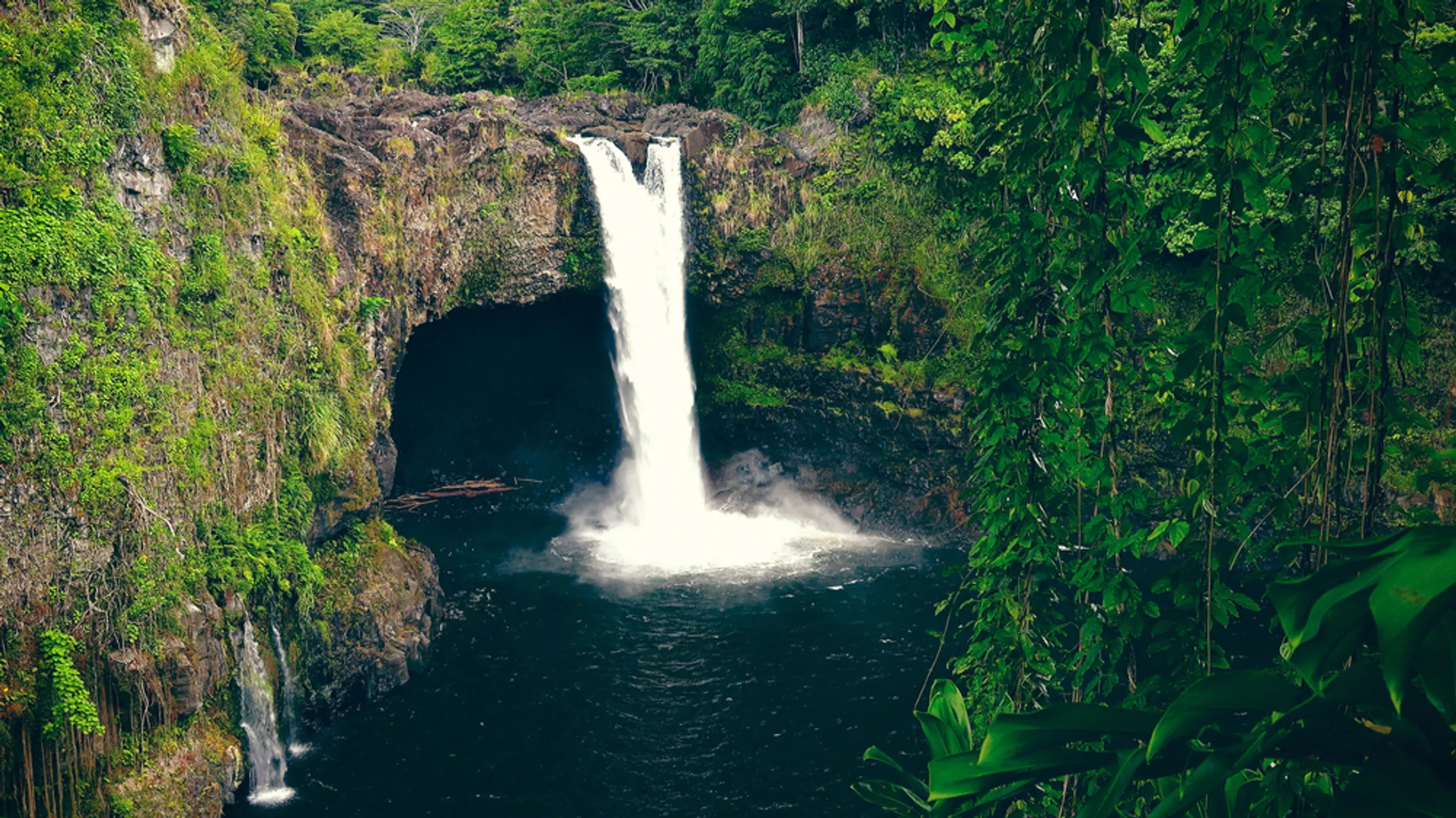 Maui tropical plantation with sugar fields and mountains