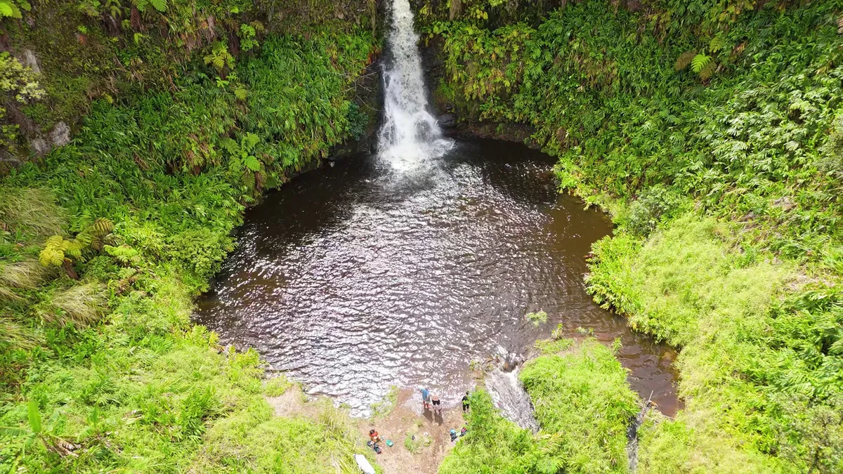 Lush green waterfall and forest with serene pool in Honokaa, Hawaii Island - representing the natural beauty that mālama seeks to protect
